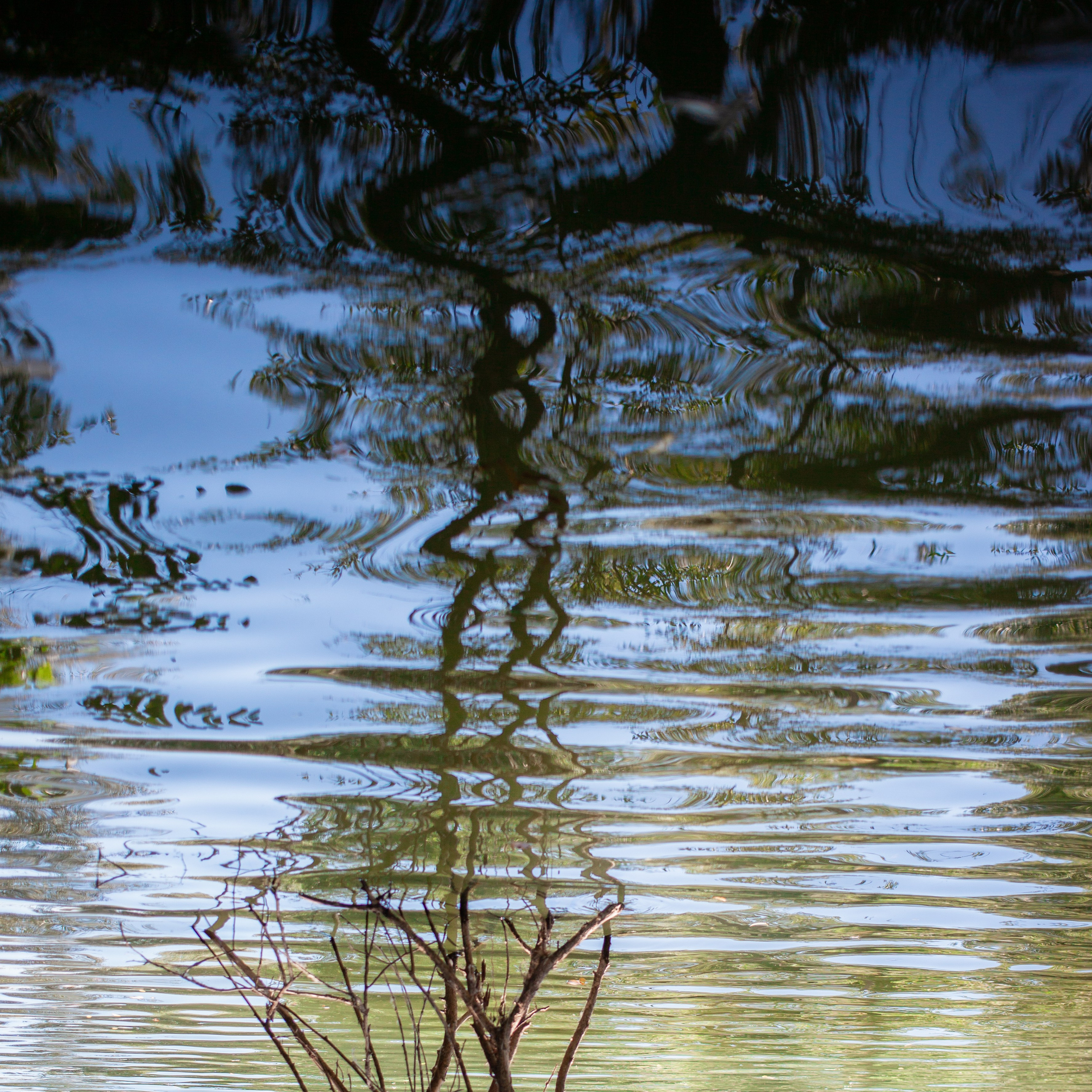 Улицы Люди на улицах Природа Животные — фотограф Оля Волчкова
