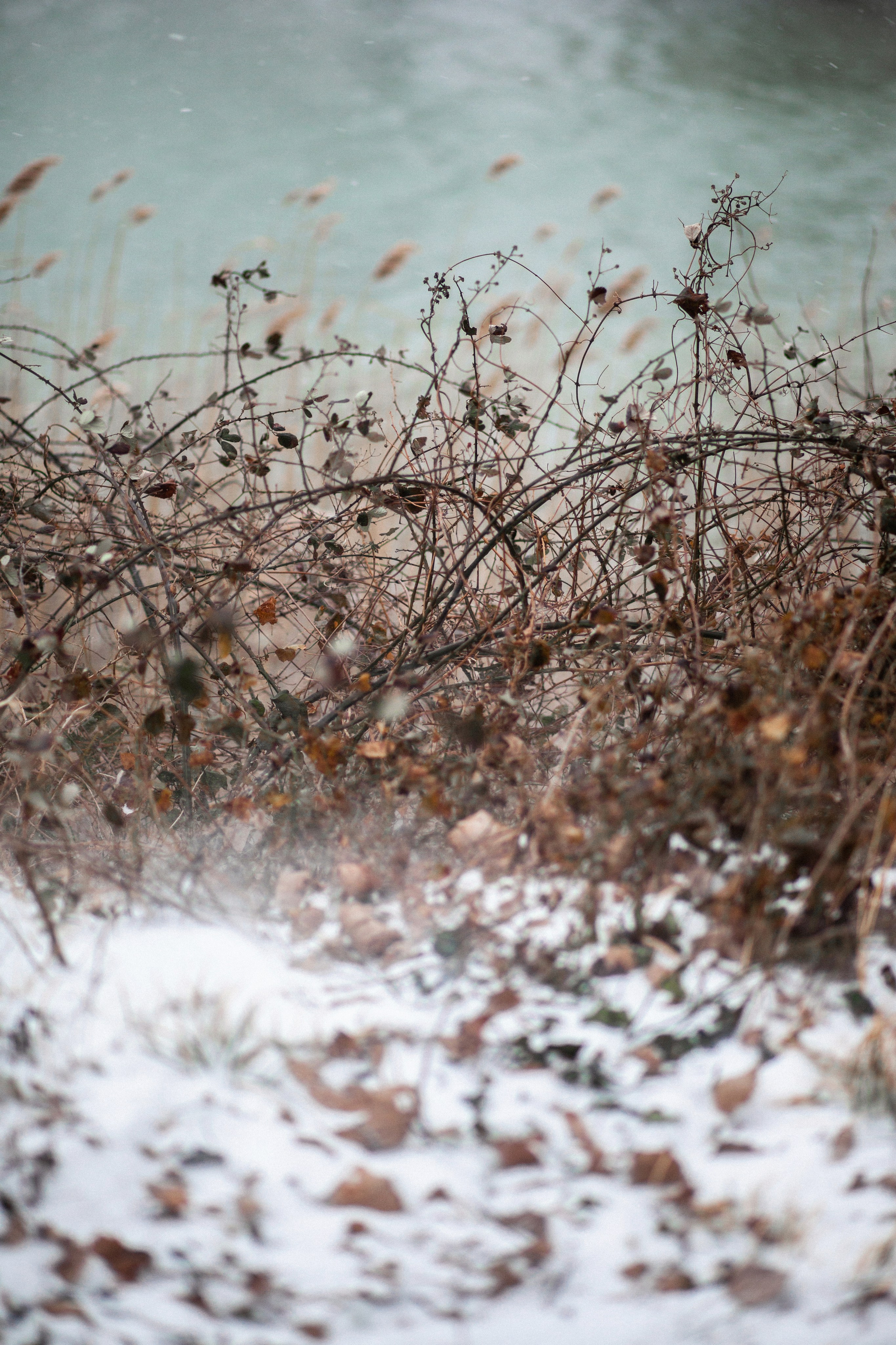 Улицы Люди на улицах Природа Животные — фотограф Оля Волчкова