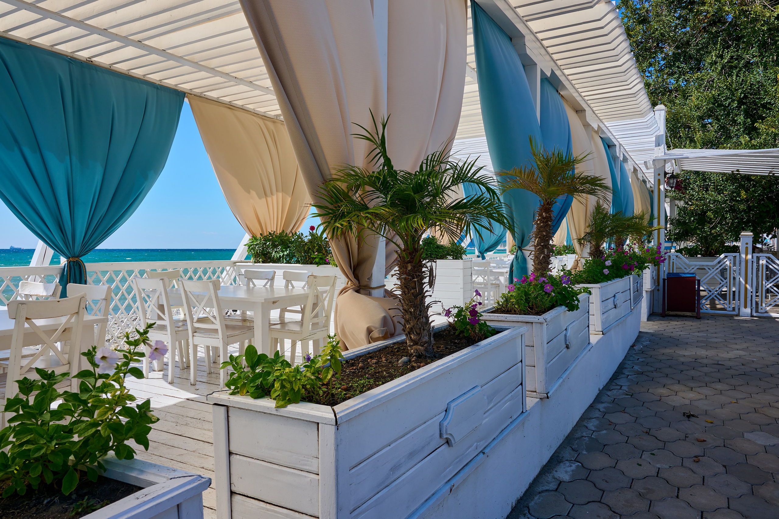 Краснодарский край, локация, фотосессия, пальма, пляж