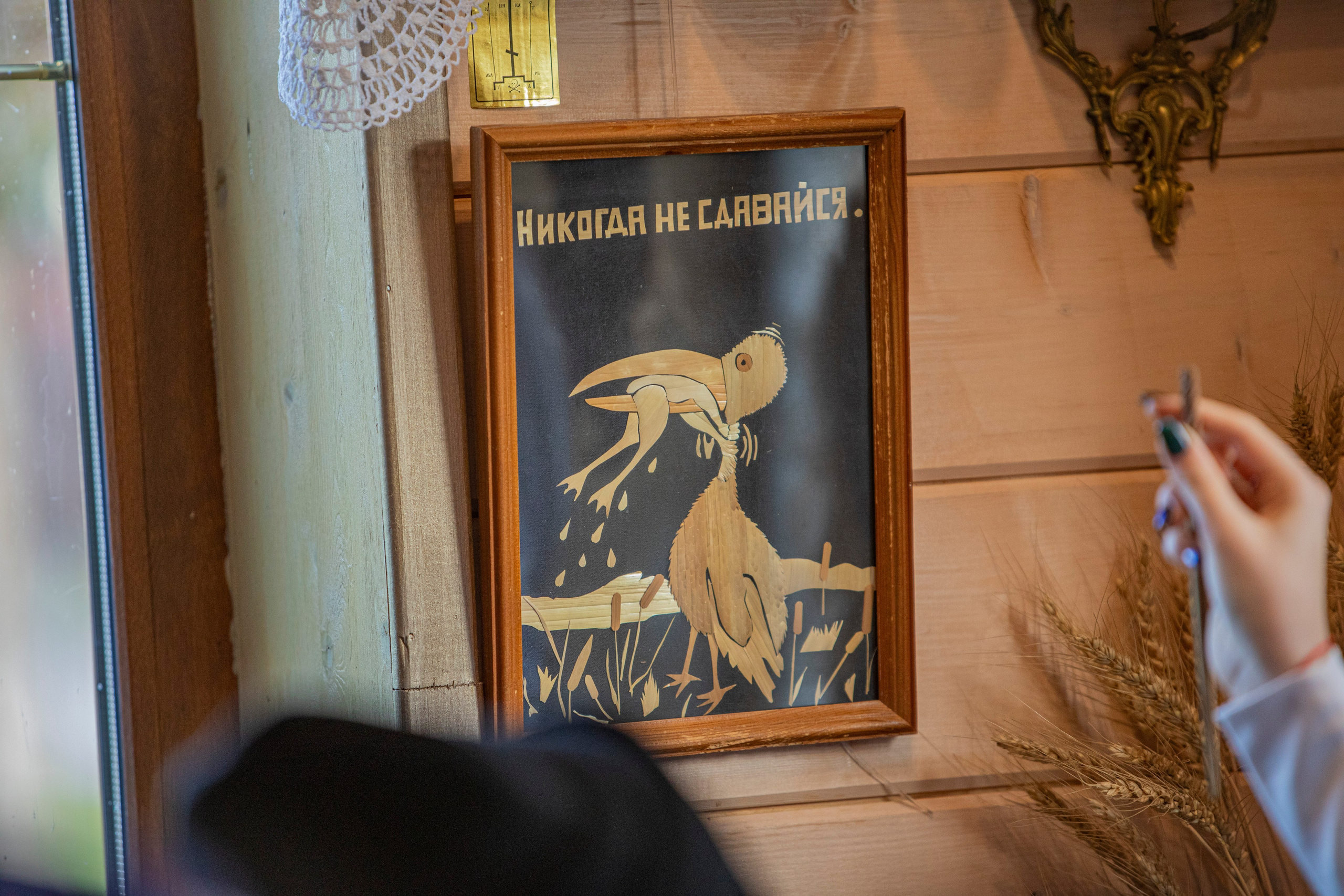 Воскресенье в г. Дмитров. Фотограф Сергей Ловкий