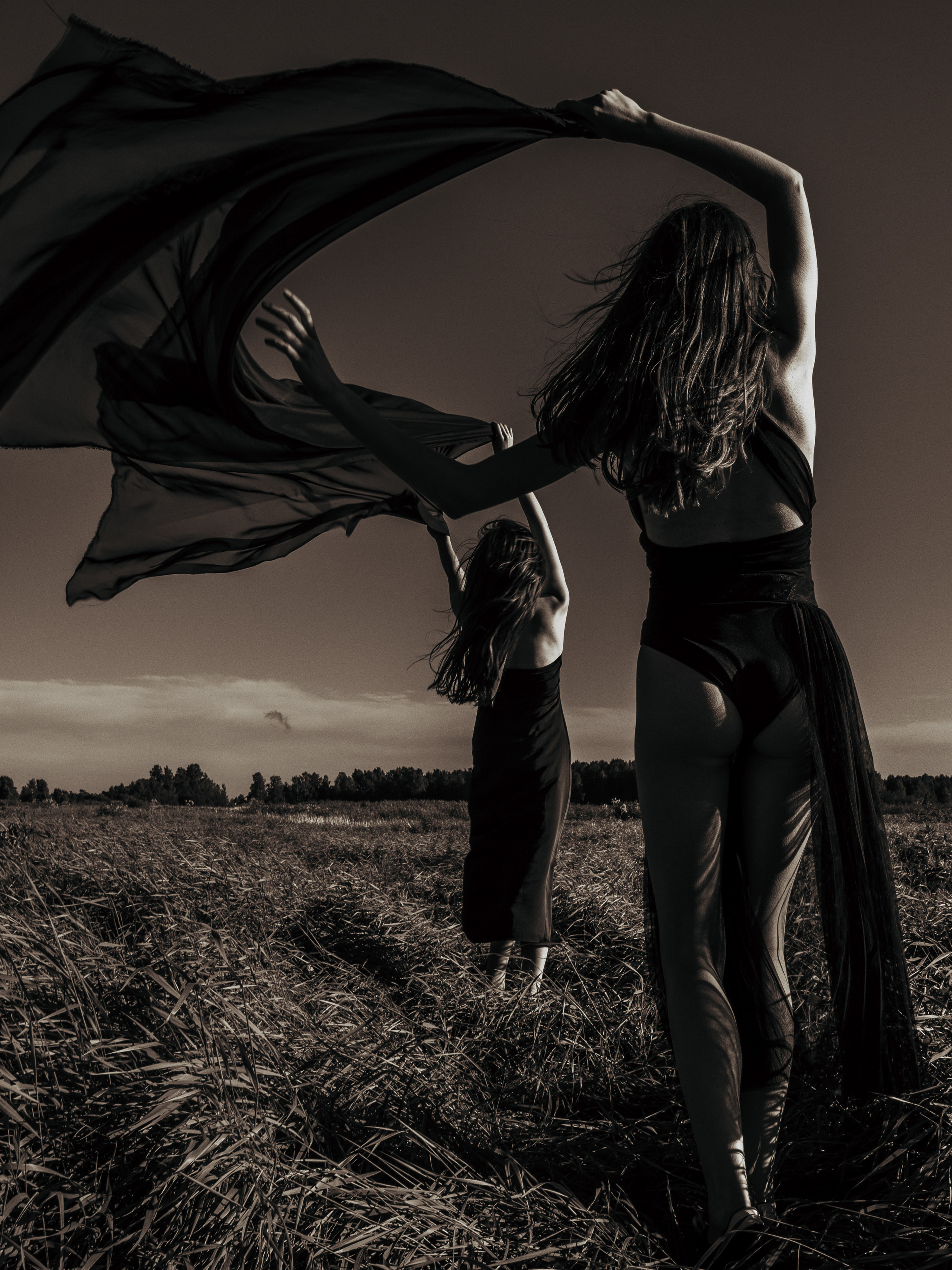 Журнал Камергер