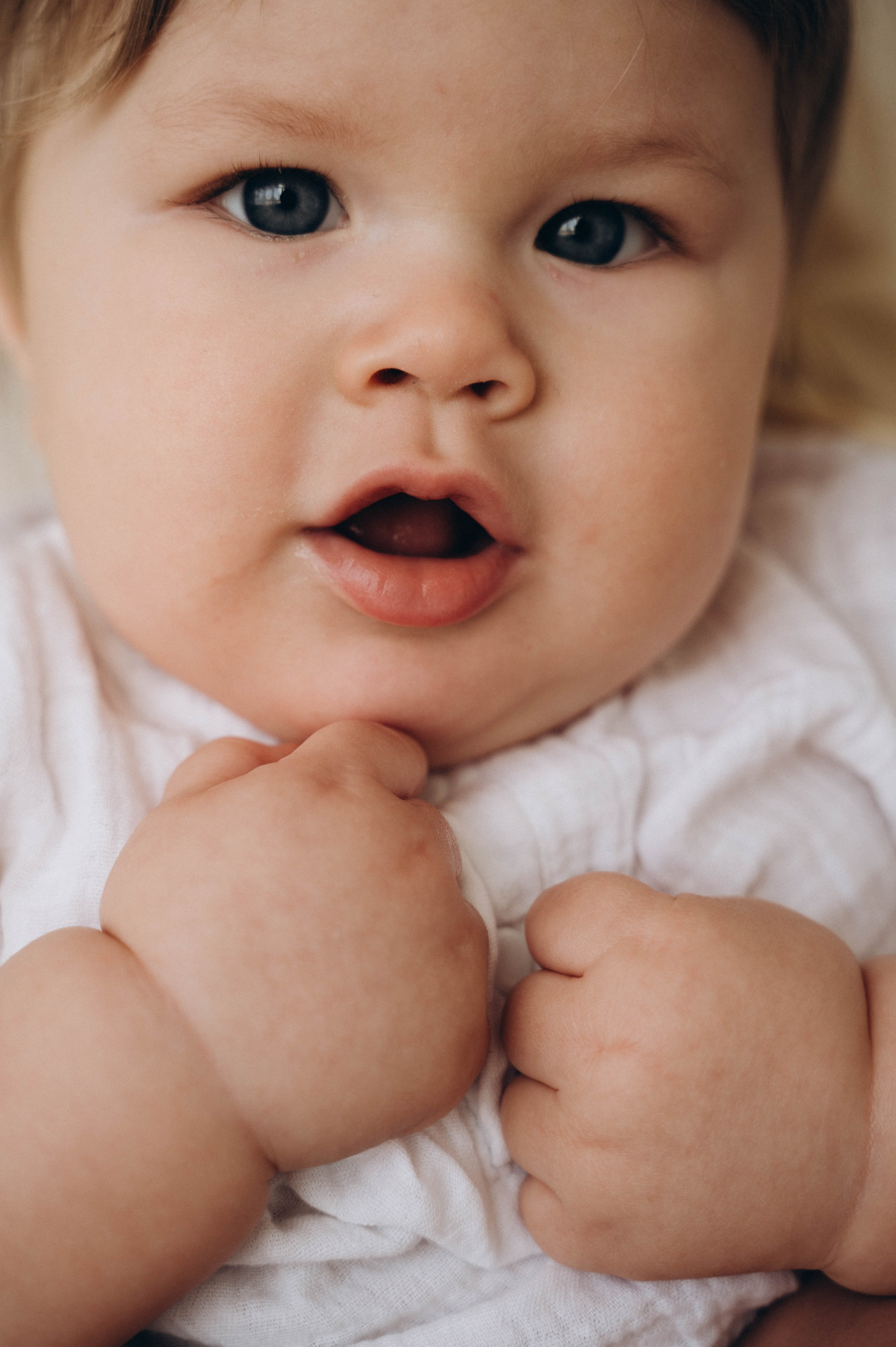 Услуги. Фотограф Москва — Мытищи — Владимир