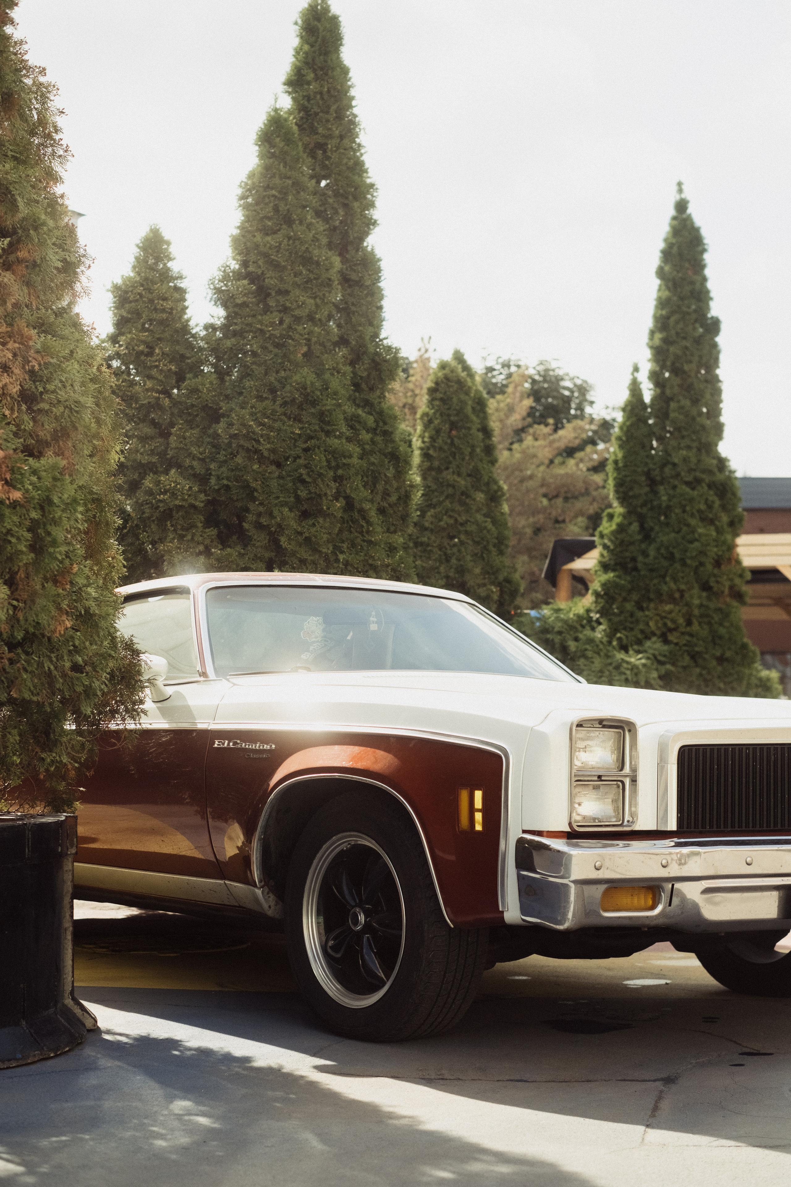 Wheels and Chains 2021. Фотограф-психолог, стильная контентная и портретная съемка в Москве