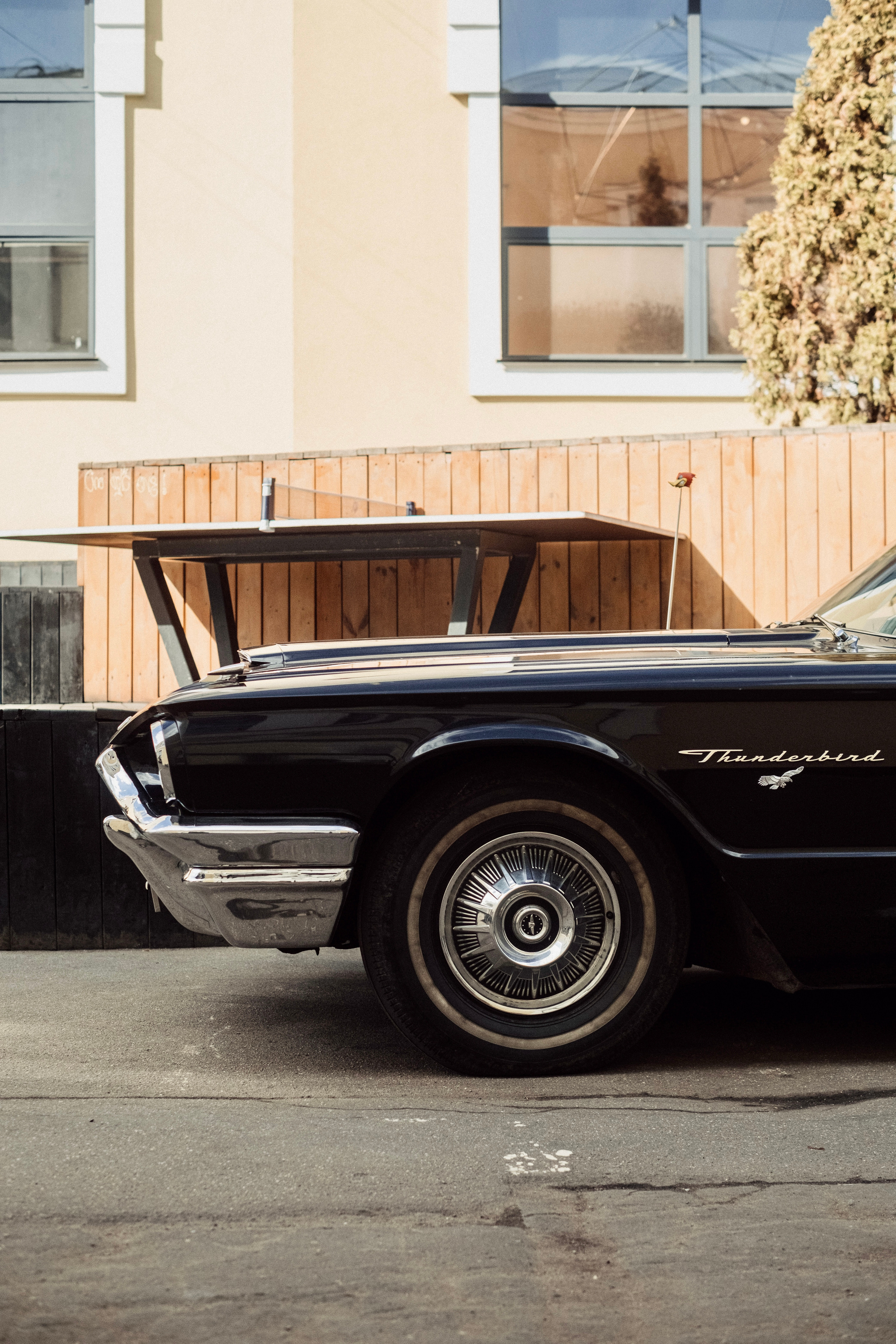 Wheels and Chains 2021. Фотограф-психолог, стильная контентная и портретная съемка в Москве