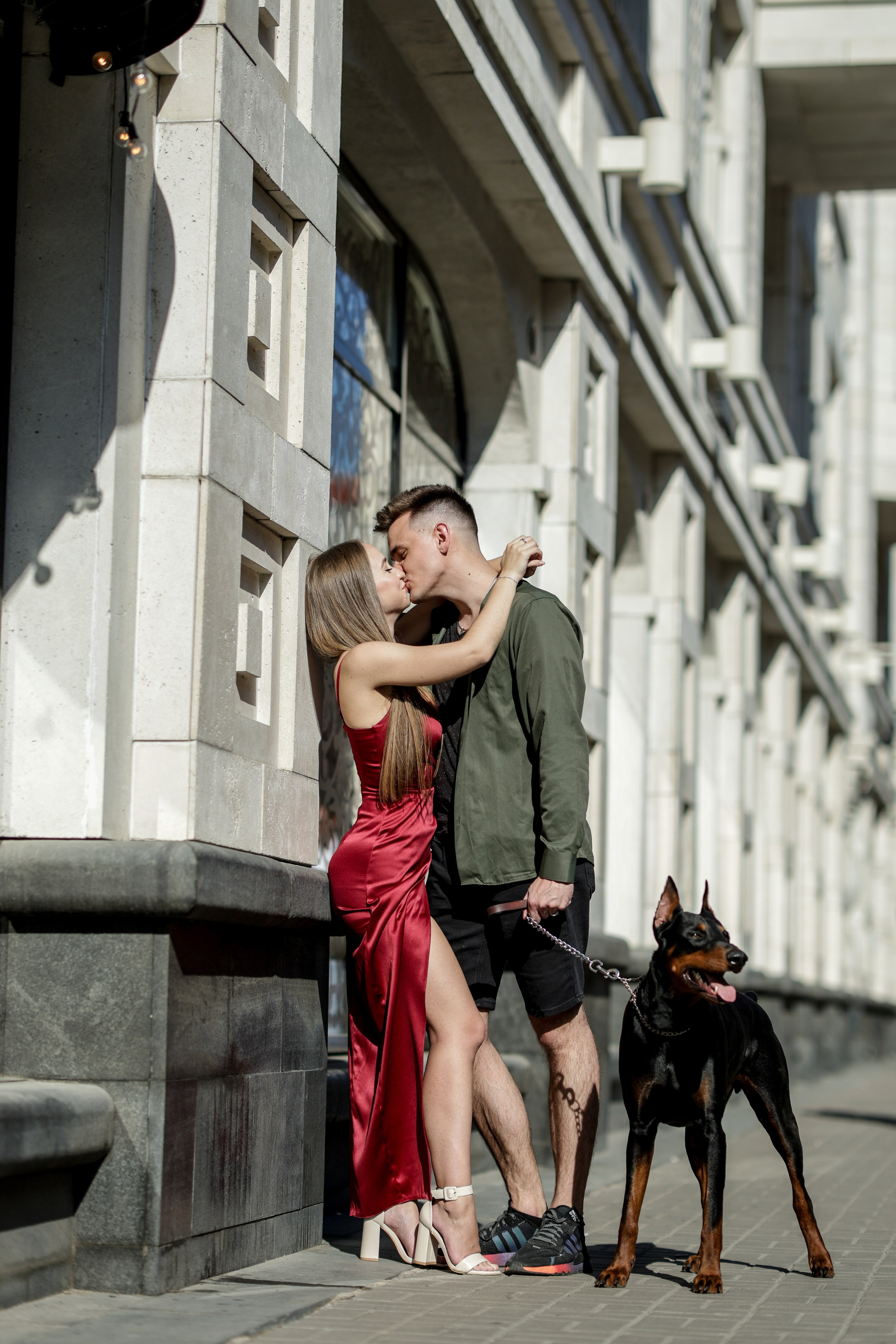 Фотосессия с доберманом. Твой снимок СПб