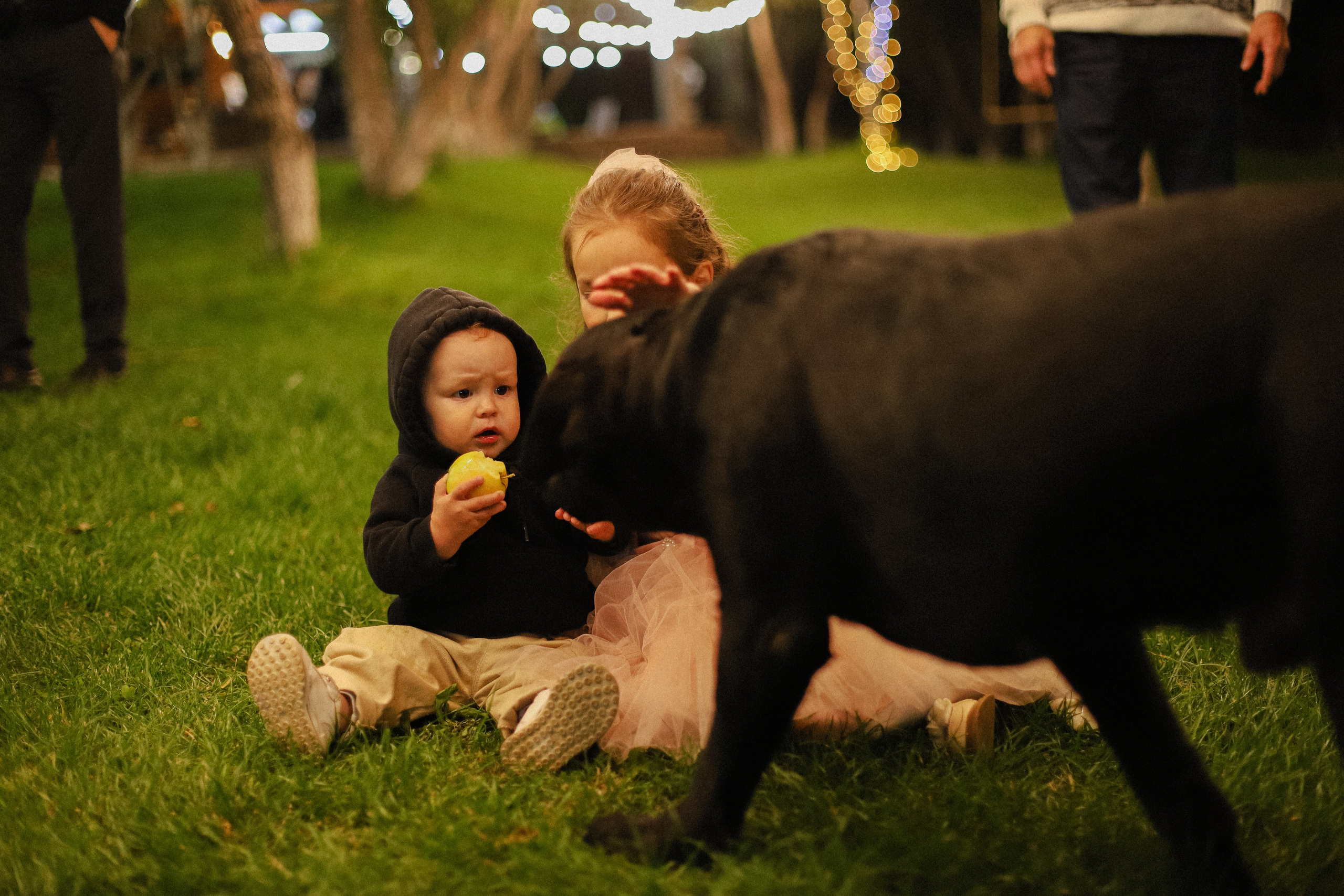 Рустам и Елизавета. Фотограф в Алматы и Москве Даша Пушкина