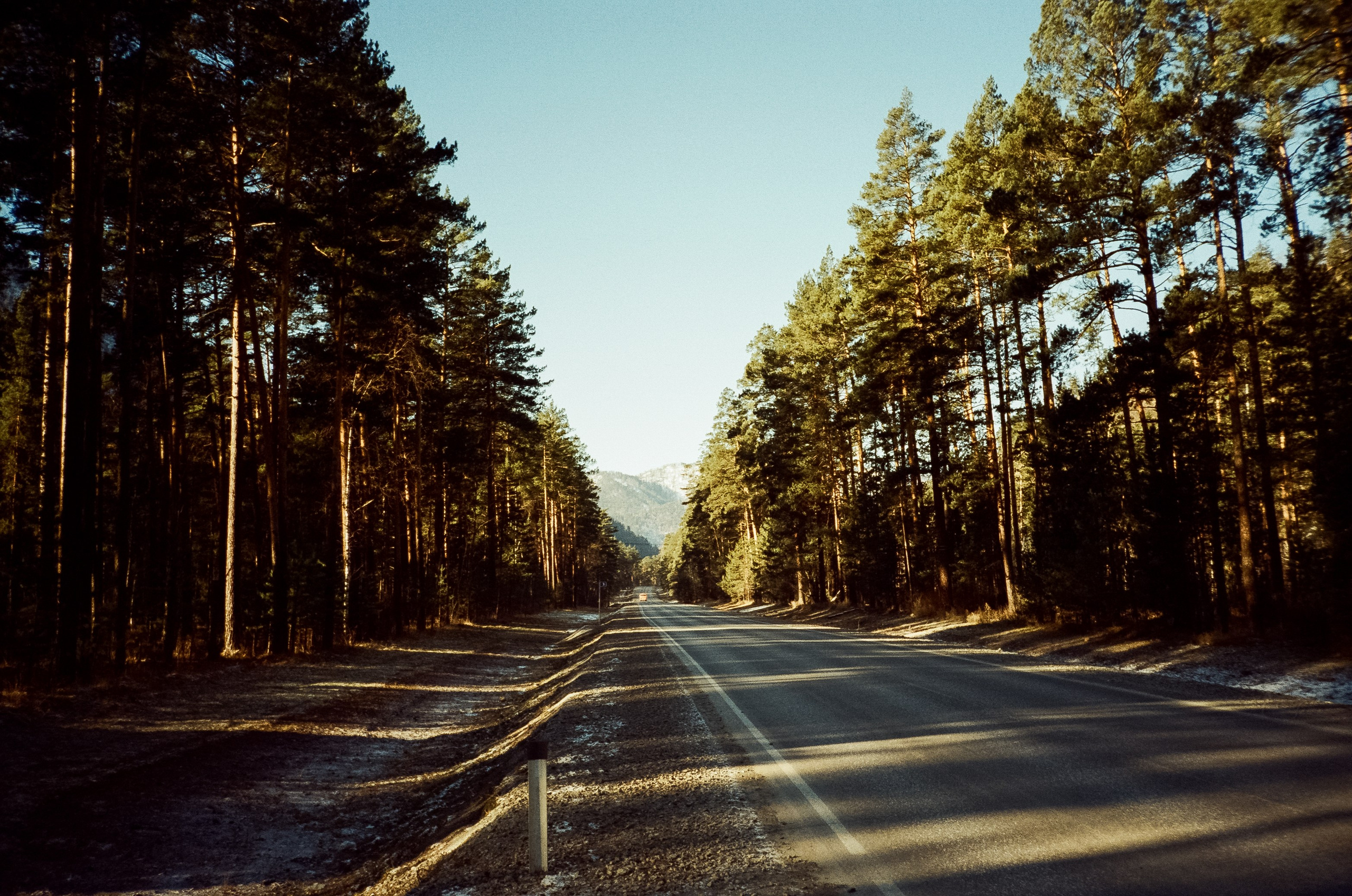 Подвесной мост Царская охота, базы Белые Скалы и Берель, Coffee Bus и. Фотограф-документалист Мария Осокина