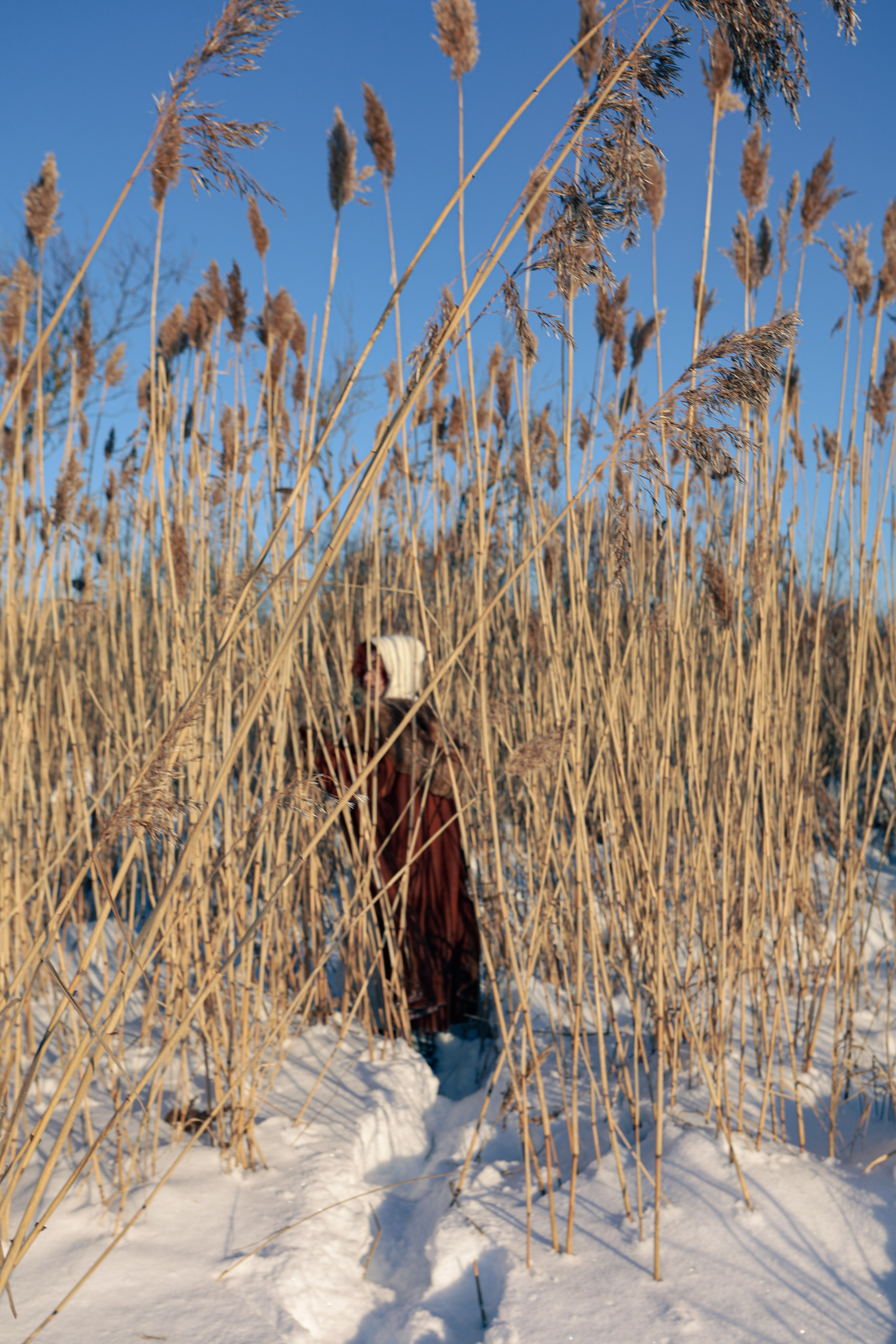 Фотограф СПб | Лесная фотосессия