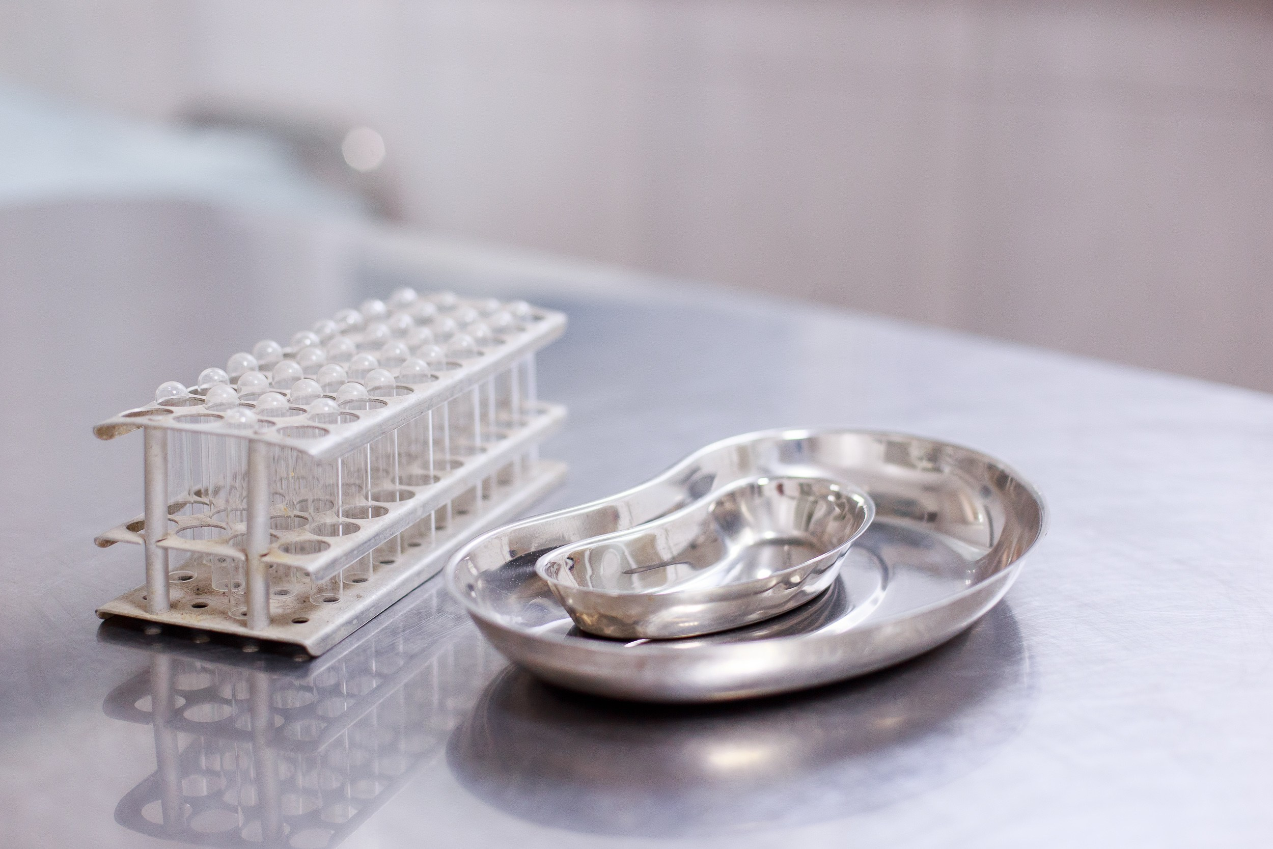 Ветеринарная клиника. Алена Русских — фотограф и графический дизайнер в Ростове-на-дону