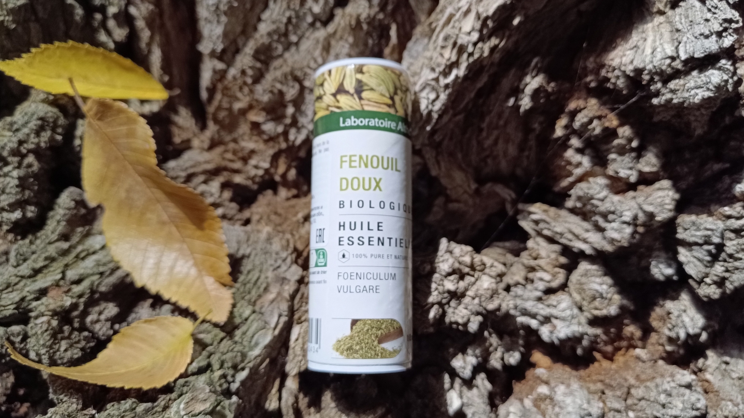 Ольфактотерапия. Марина Рыбкина — Глубинная психология