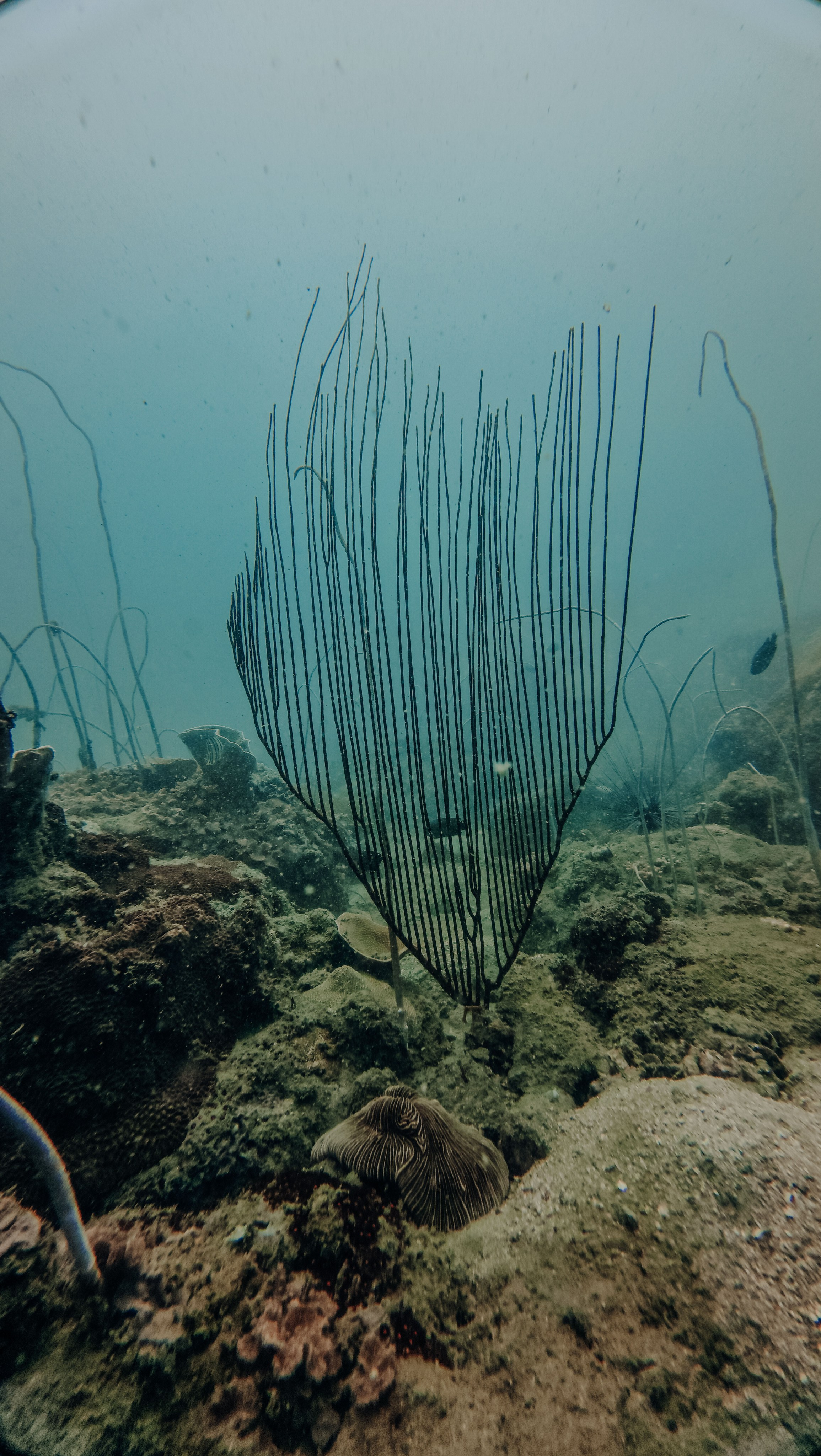 Для тех кто не боится сделать первый шаг. Дайвинг во Вьетнаме
