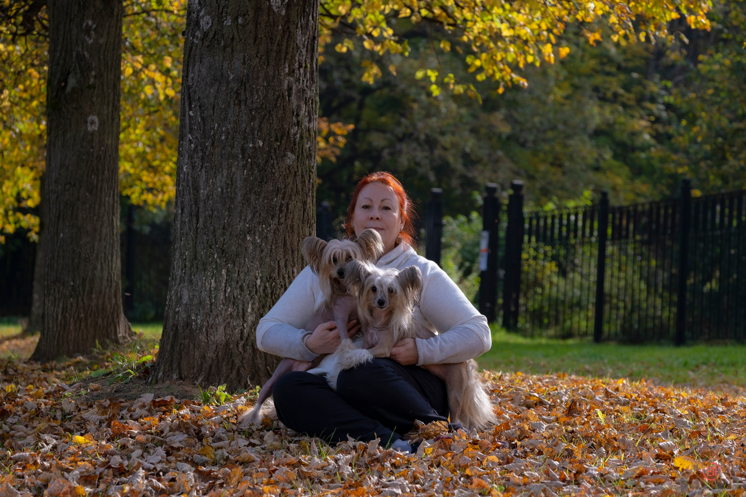 On a walk. Chinese Crested Dog Kennel Poale Ell