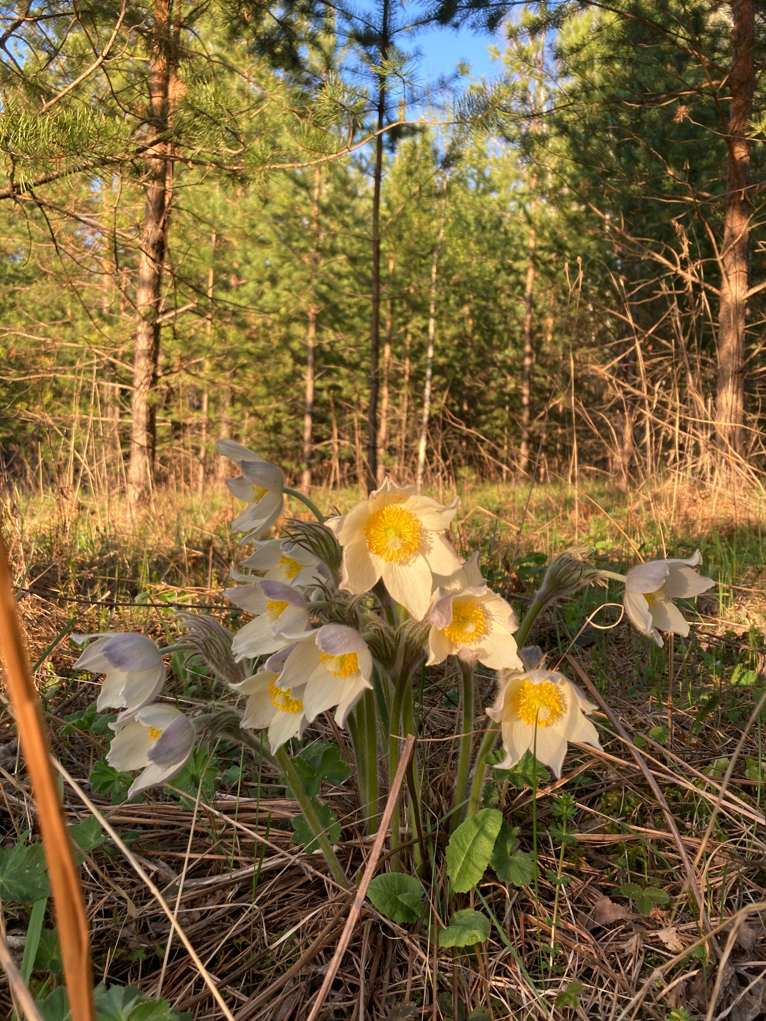Идем на восток. Портретный фотограф Москва, репортаж и естественная постановка