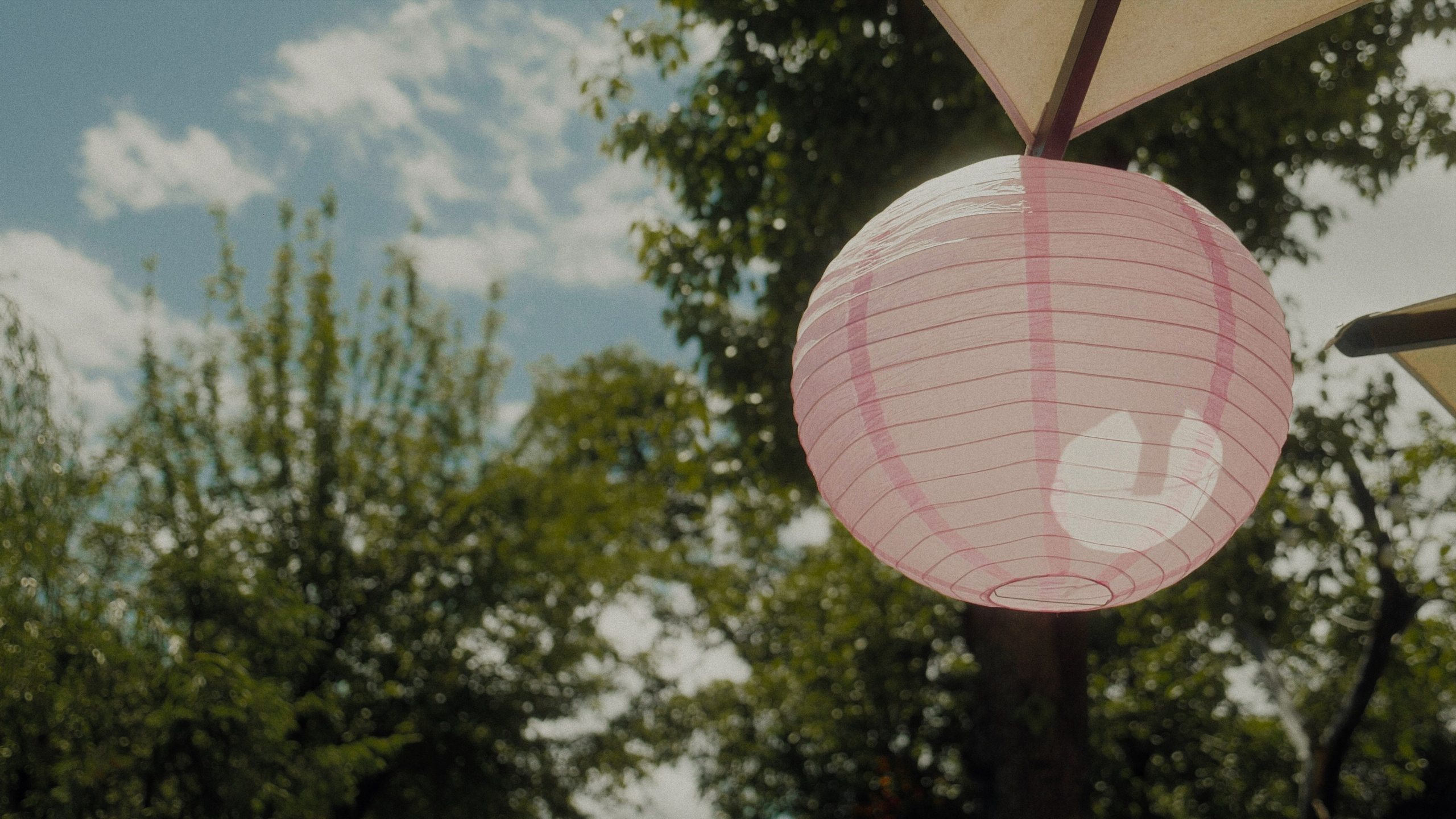 Игорь Лена full story. Свадебный видеограф Влад Ерин. Армения | Грузия | Европа |Мир