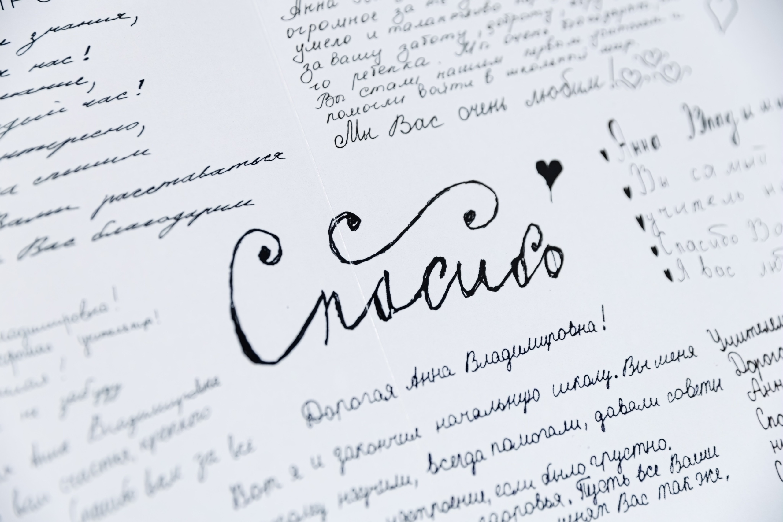 Альбомы для учителей и воспитателей. Семейный и детский фотограф Комина Елена, Власиха, Одинцово