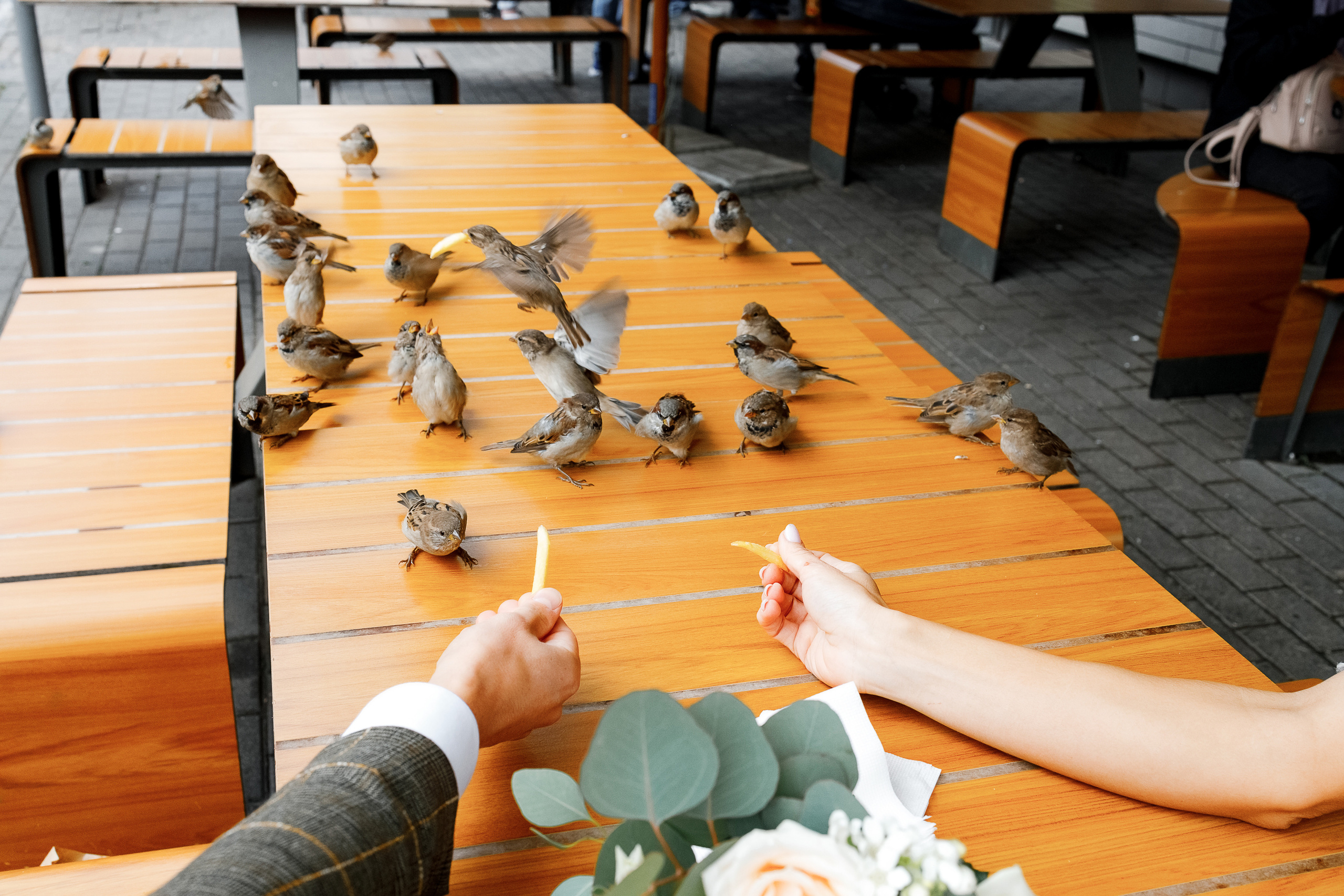 First look в уютном дворике гостиницы. Олег Сверчков | Свадебный фотограф Вологда