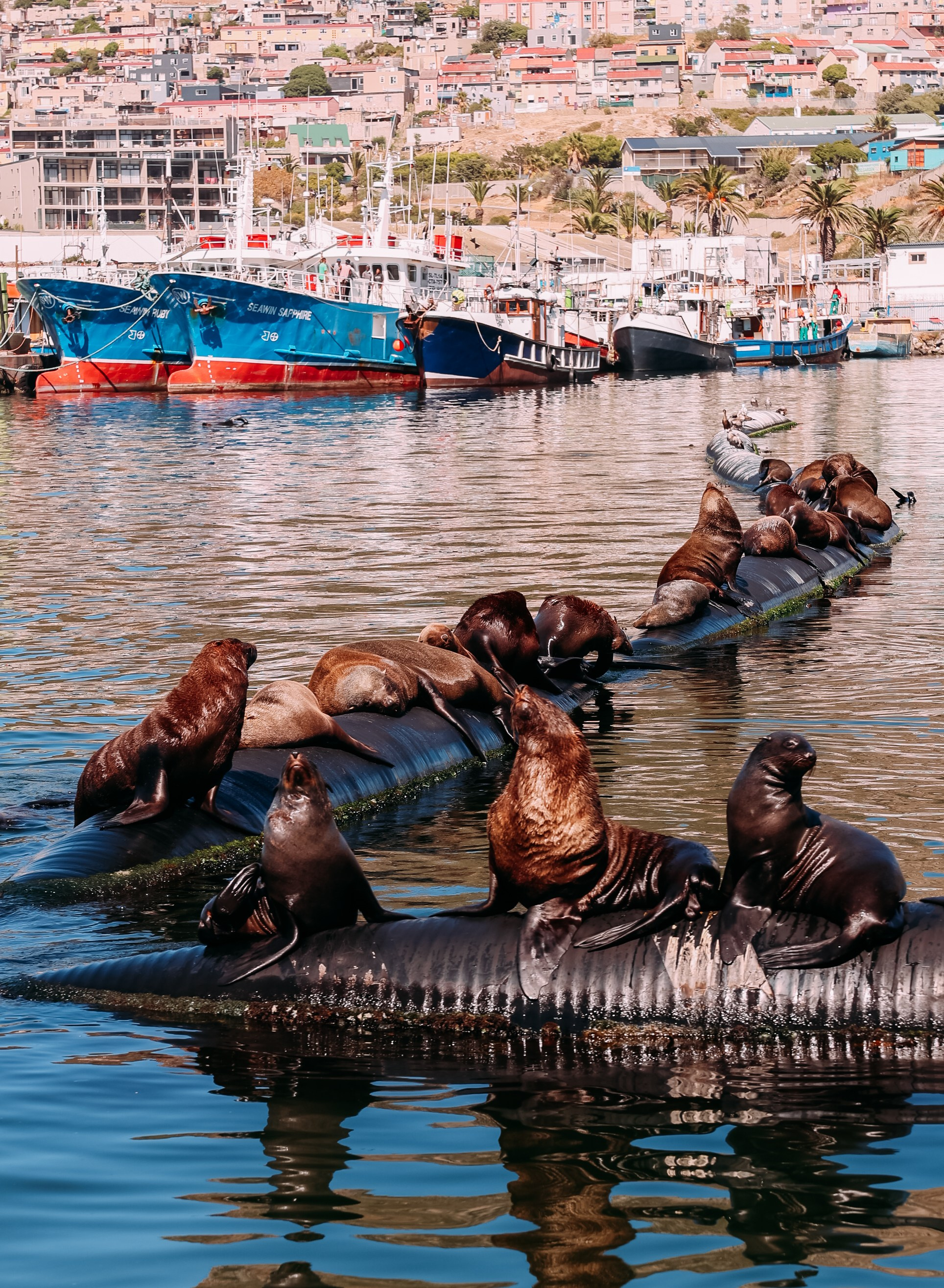 Фотограф Марина Аблаева-Кожедуб