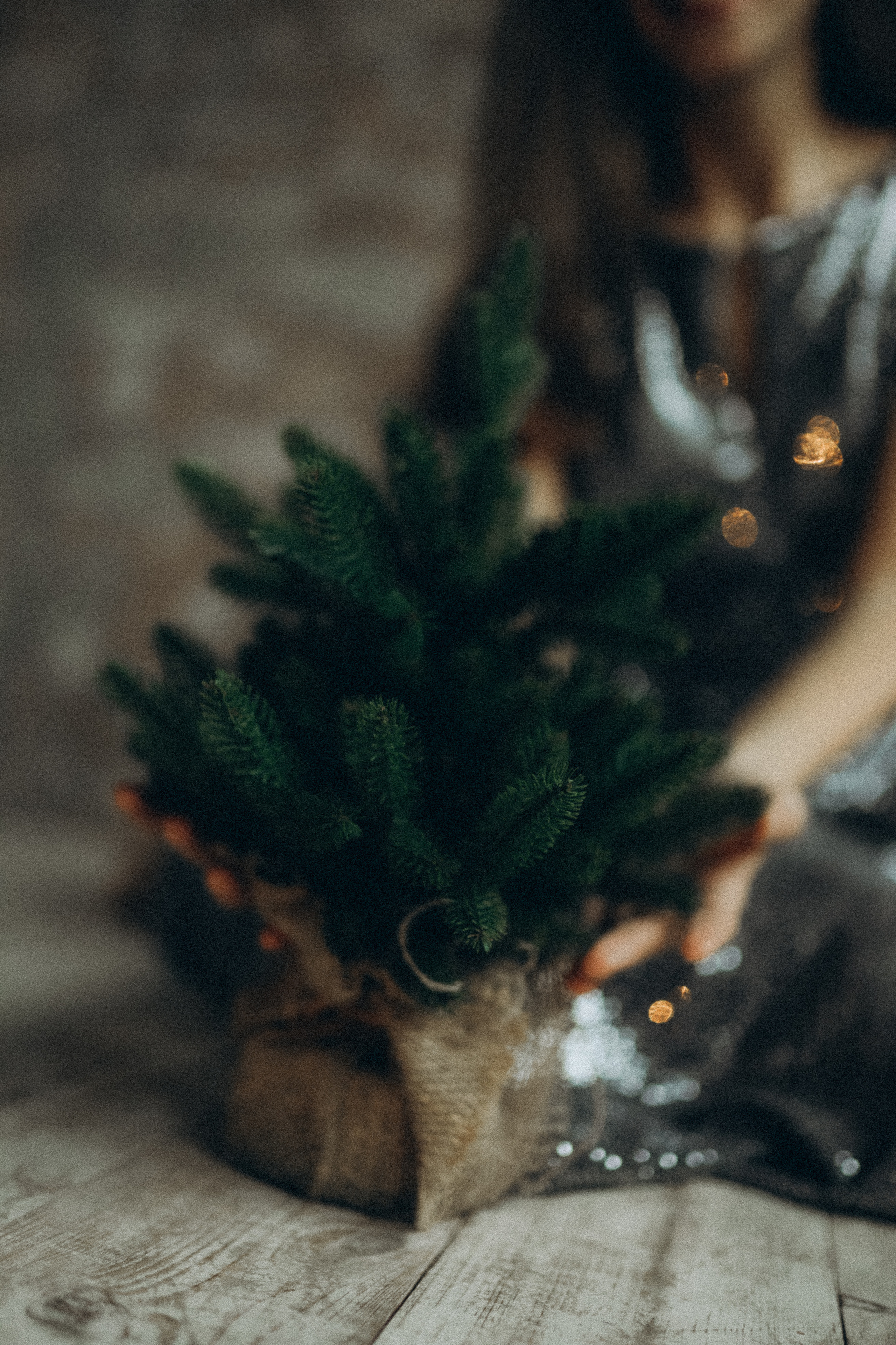 Катерина. Детский семейный фотограф в Москве Евгения