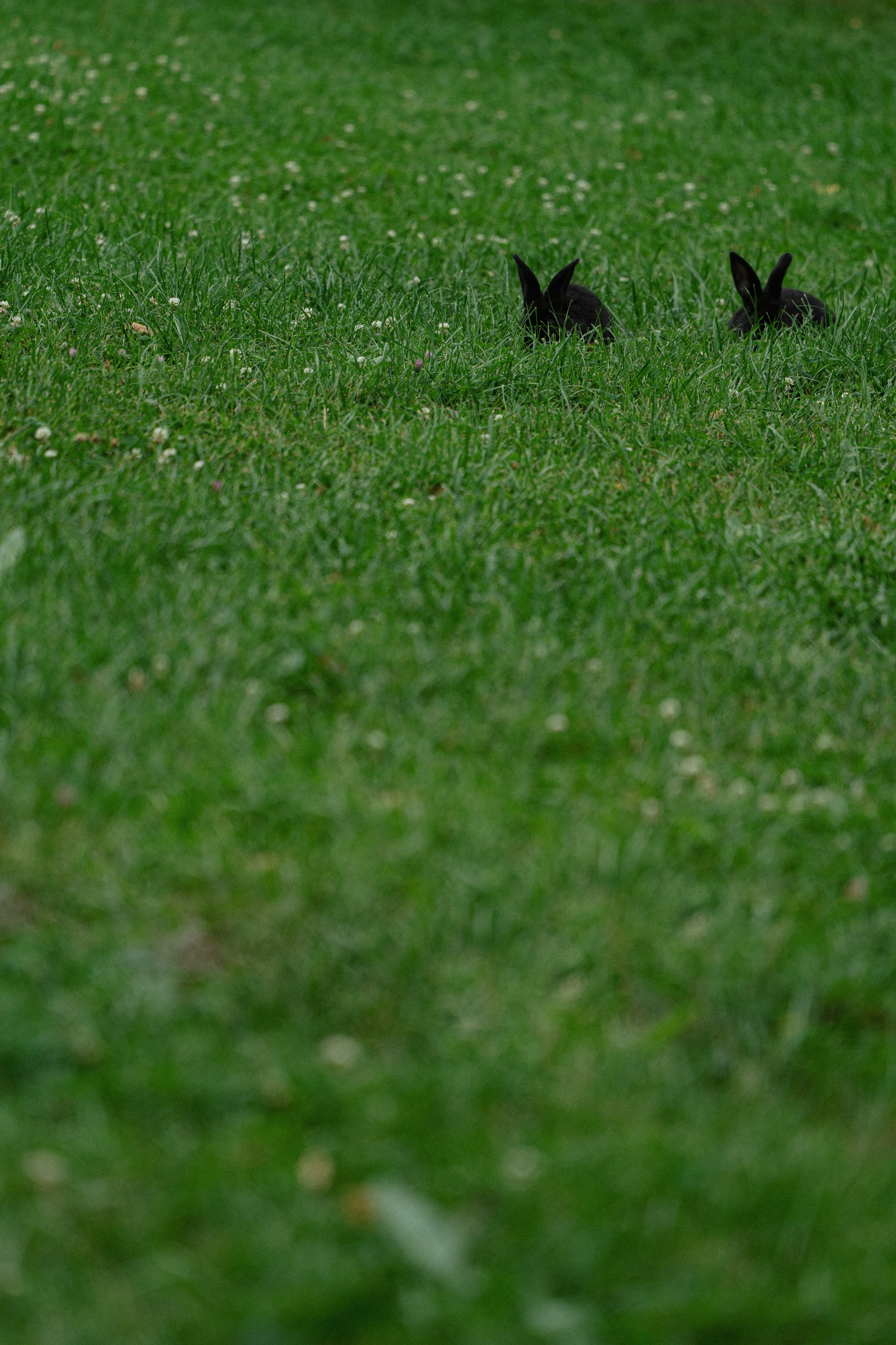01/08/2025. Фотограф Томск, Новосибирск Влад Свириденко