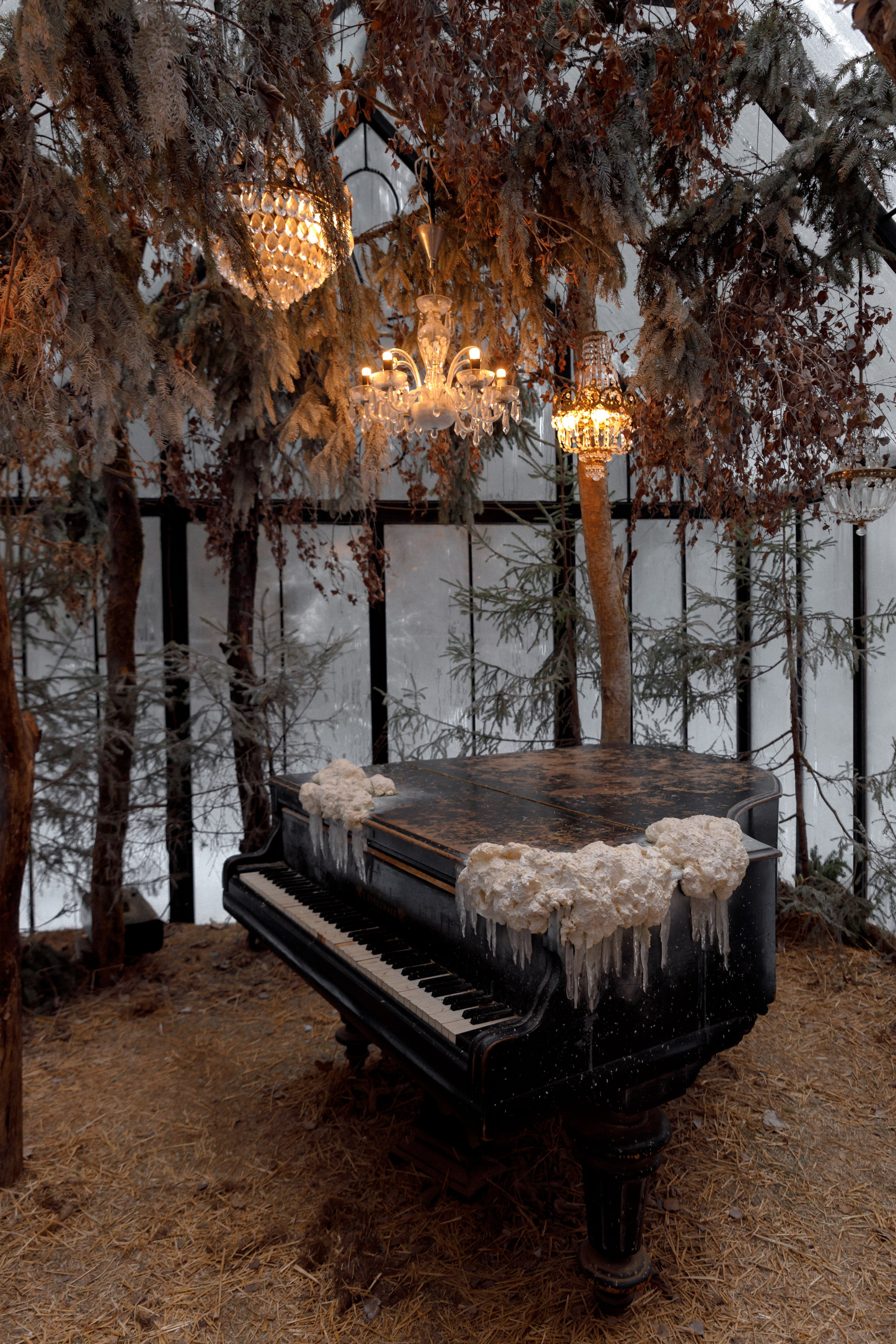 Фотостудии. Женский фотограф Москва, Лобня