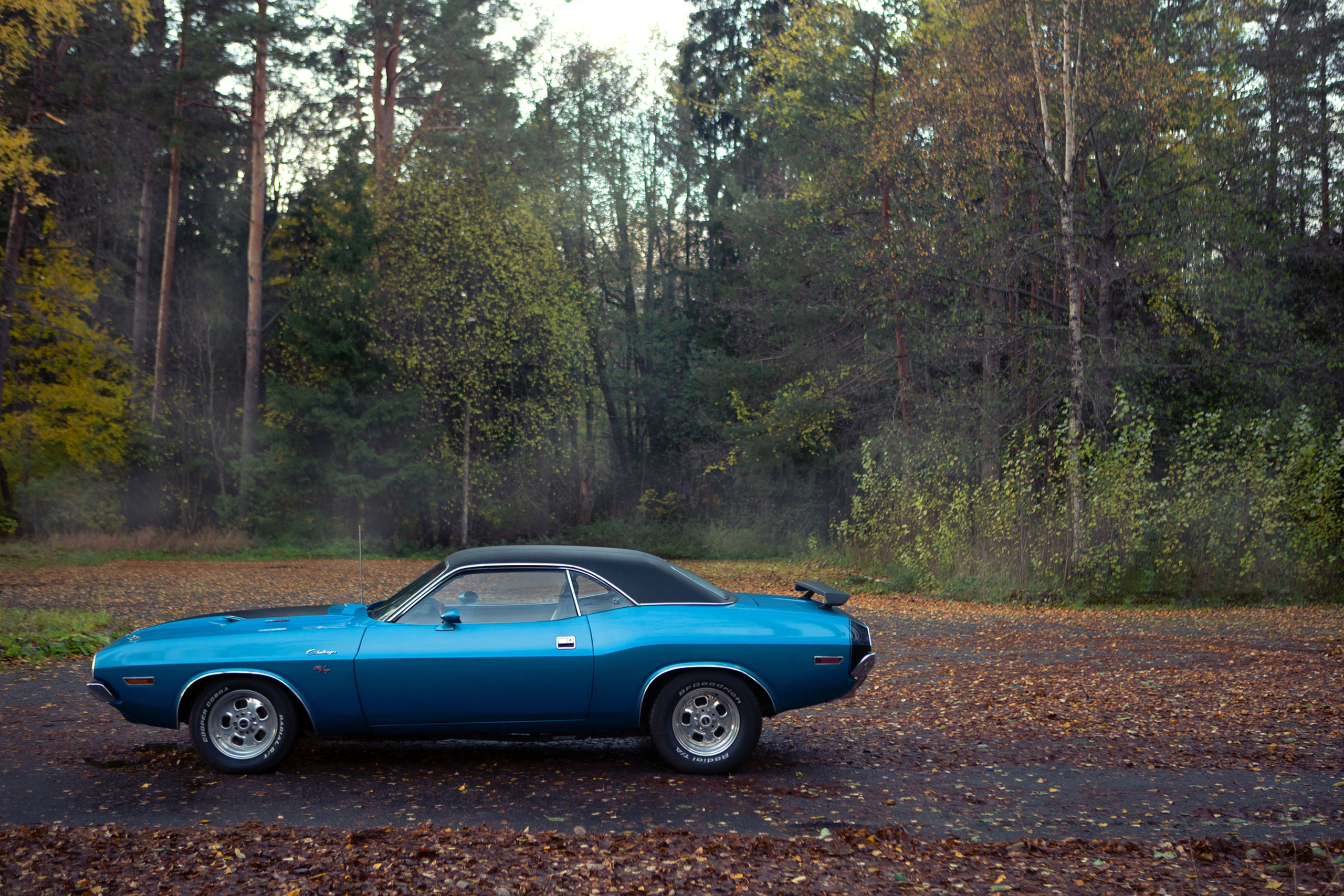 додж челленджер холодным осенним днем в лесу