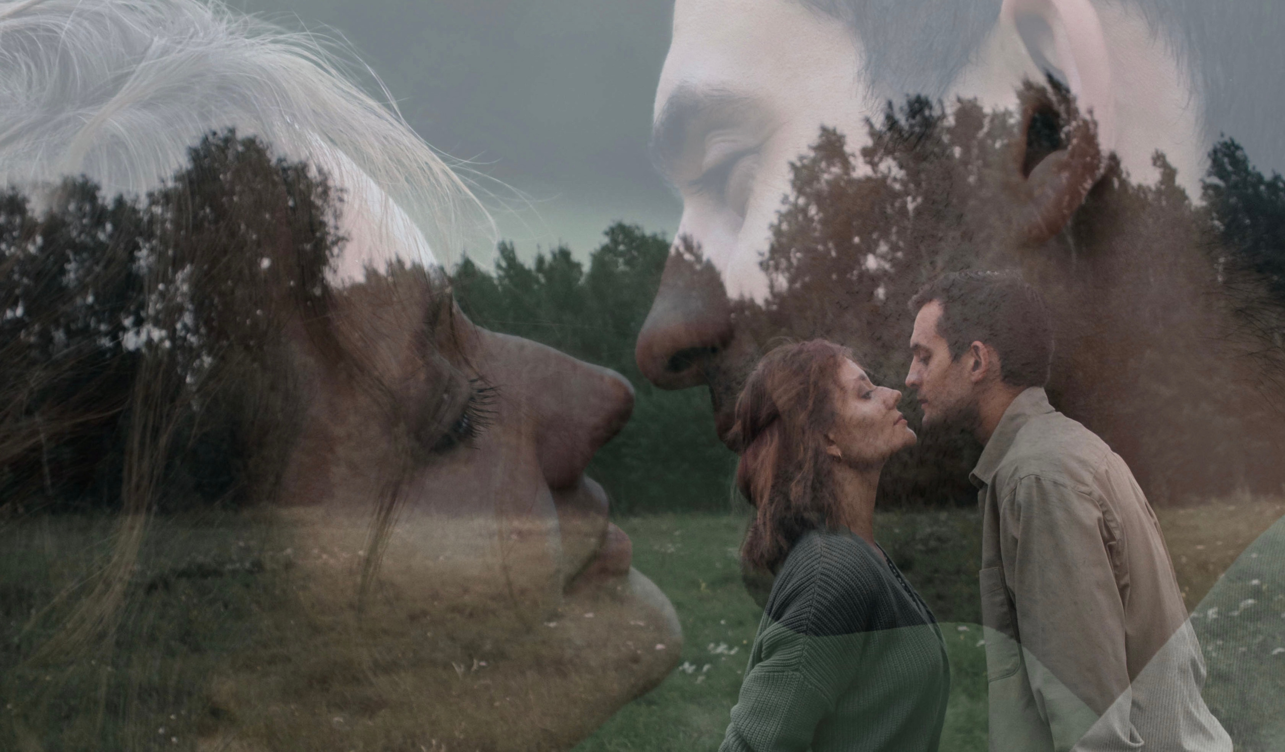 Фотограф|Новосибирск|Чернецкая Виолетта