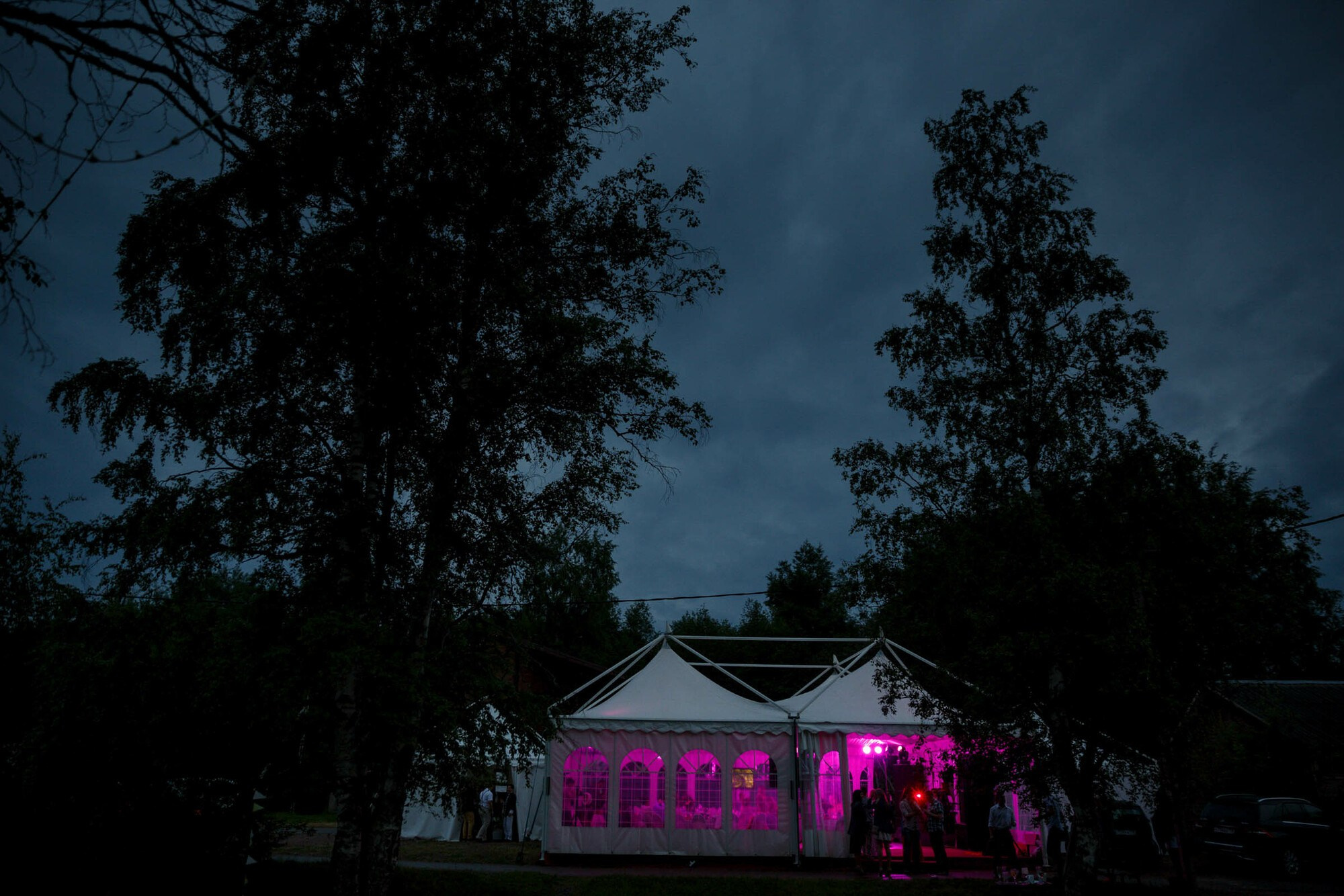 Свадьба с выездной регистрацией в лесу за городом. Свадебный фотограф в Санкт-Петербурге и Москве Андрей Нестеров