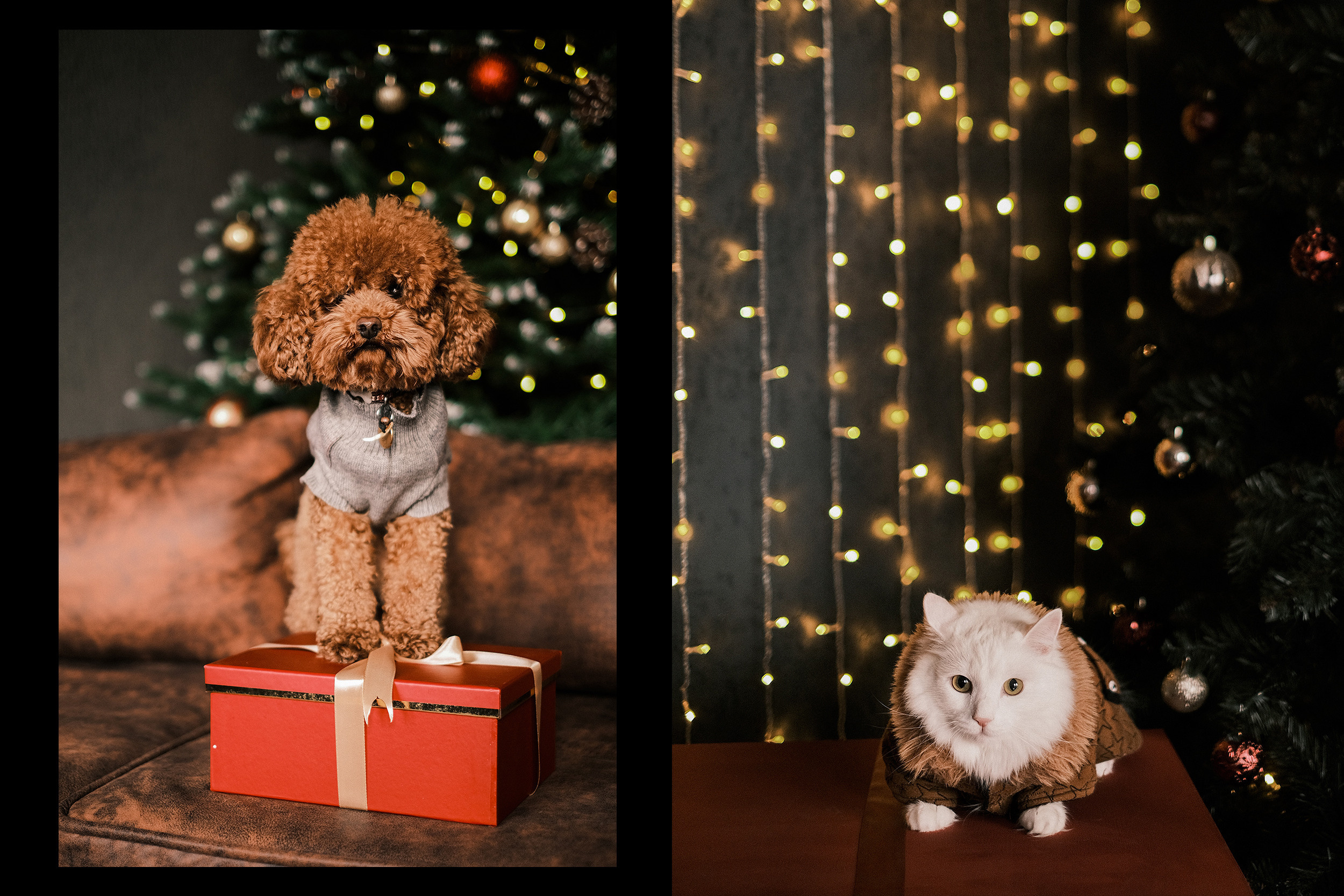 Новогодние фотосессии. Фотограф Юрий Марилов Москва, Тюмень