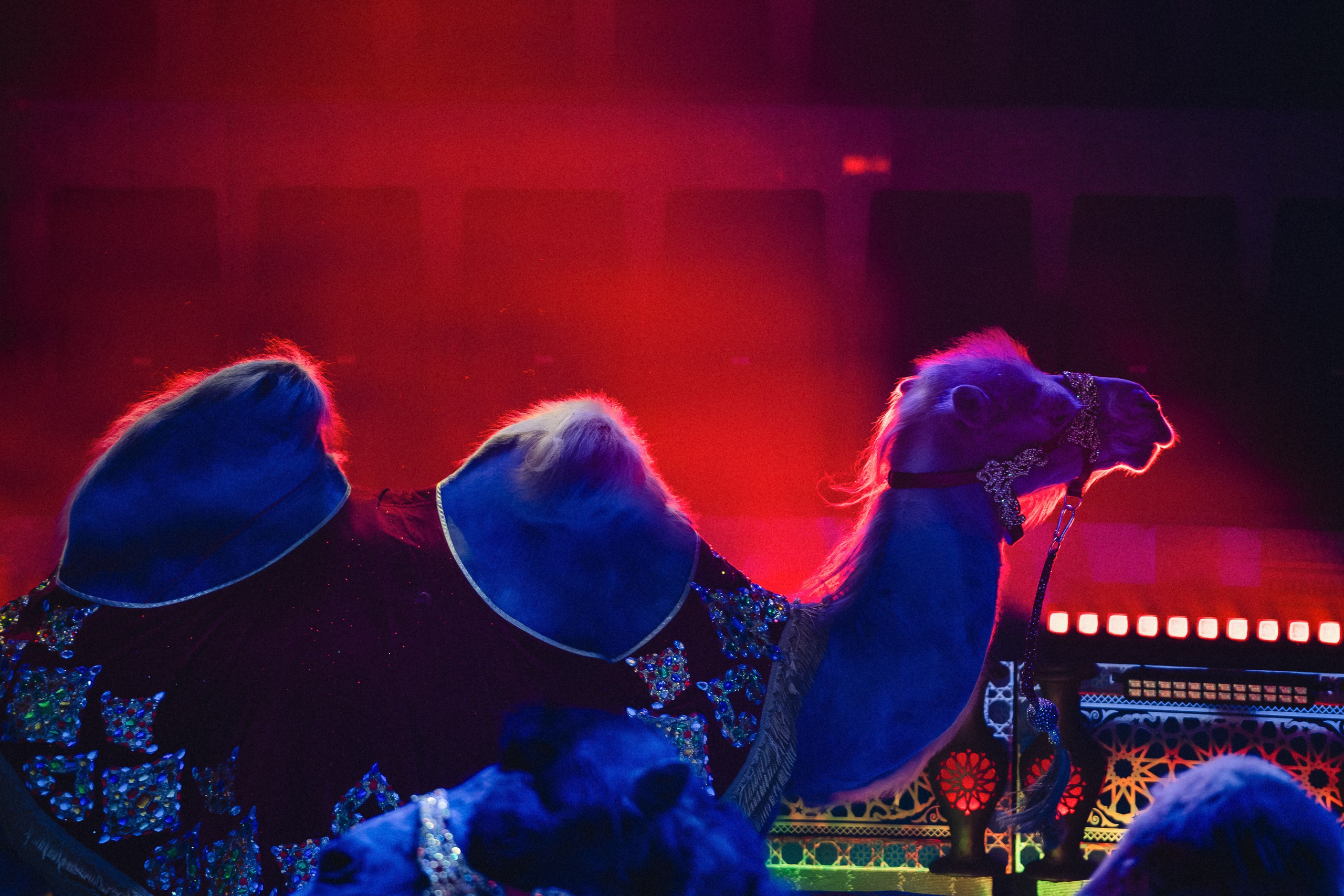 Пресс-показ шоу «Песчаная Сказка». Воробьева Ксения — Спортивный и танцевальный фотограф Новосибирск