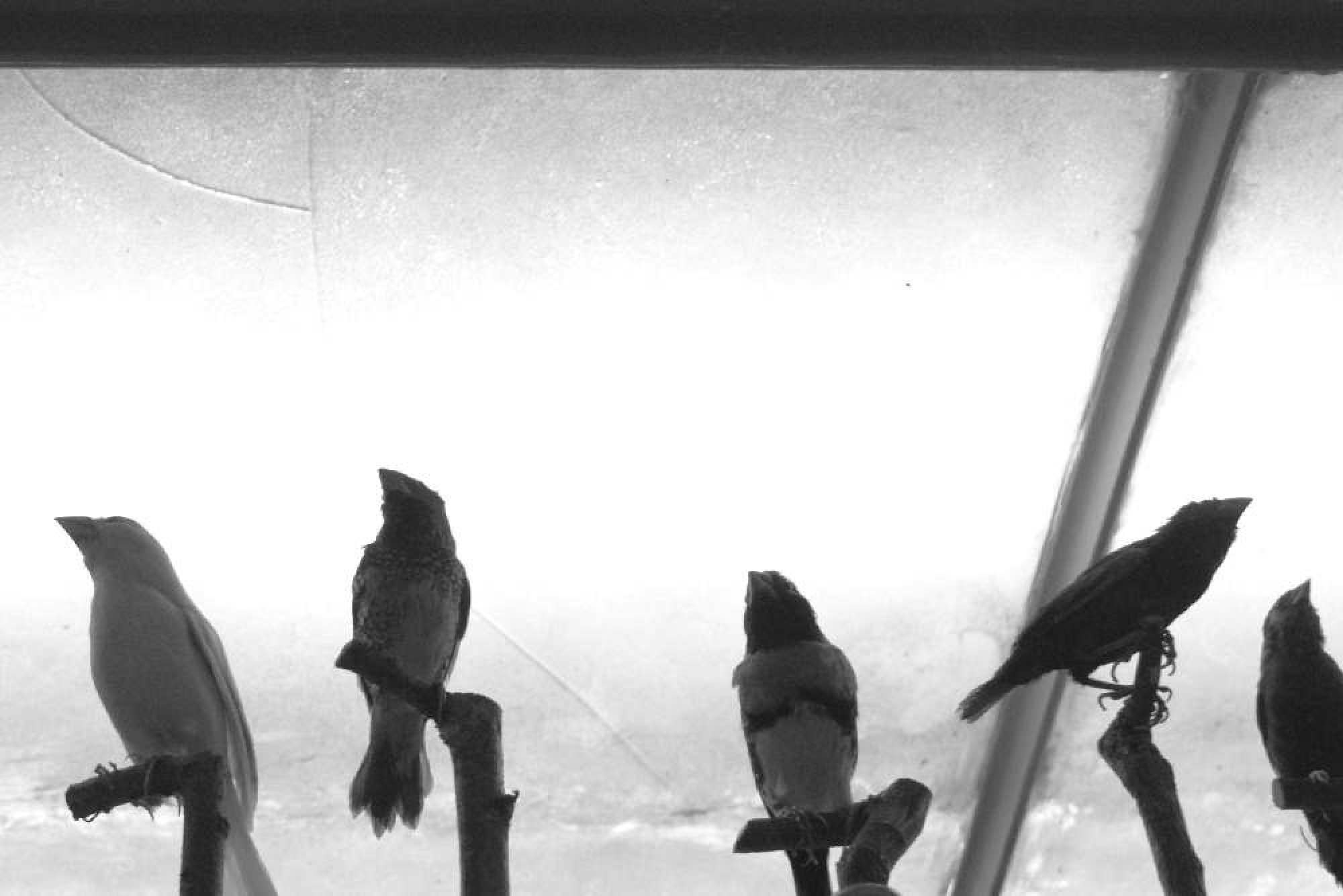 When you leave us, I'll live in your room. Maria Pilkevich