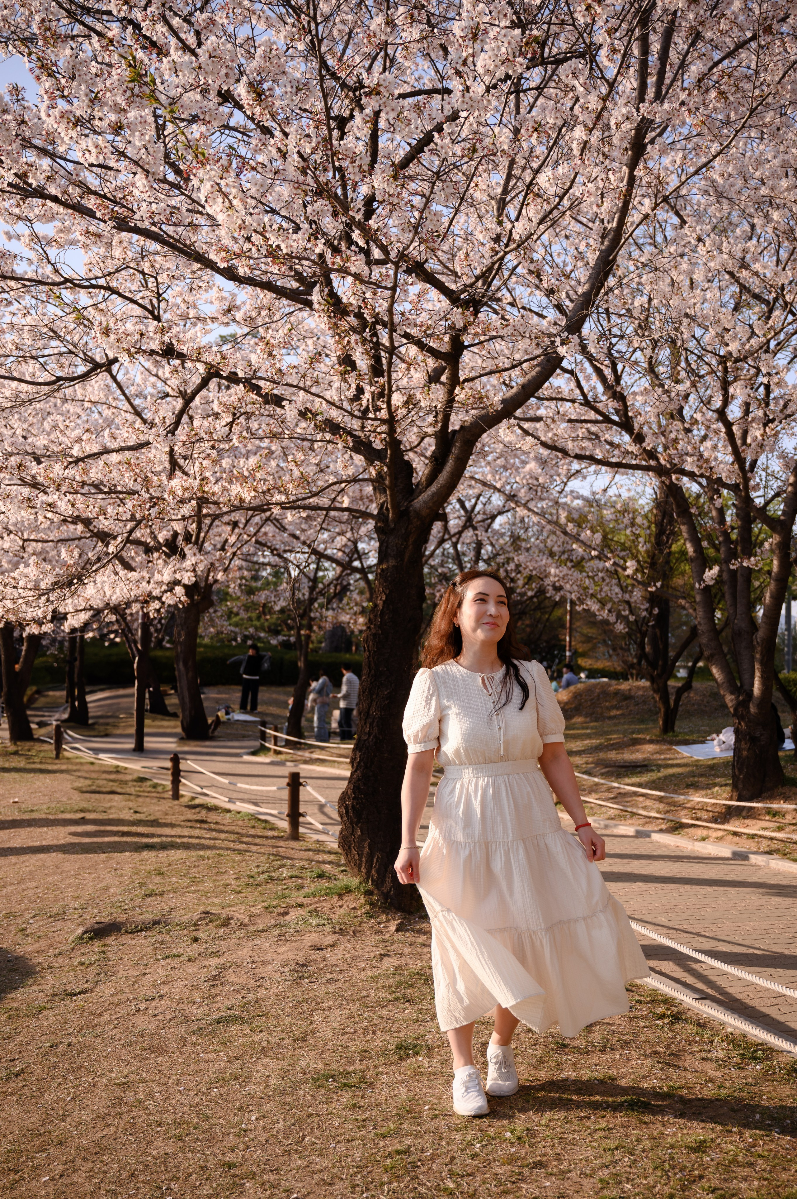Sesión de fotos romántica con sakura en Busan primavera