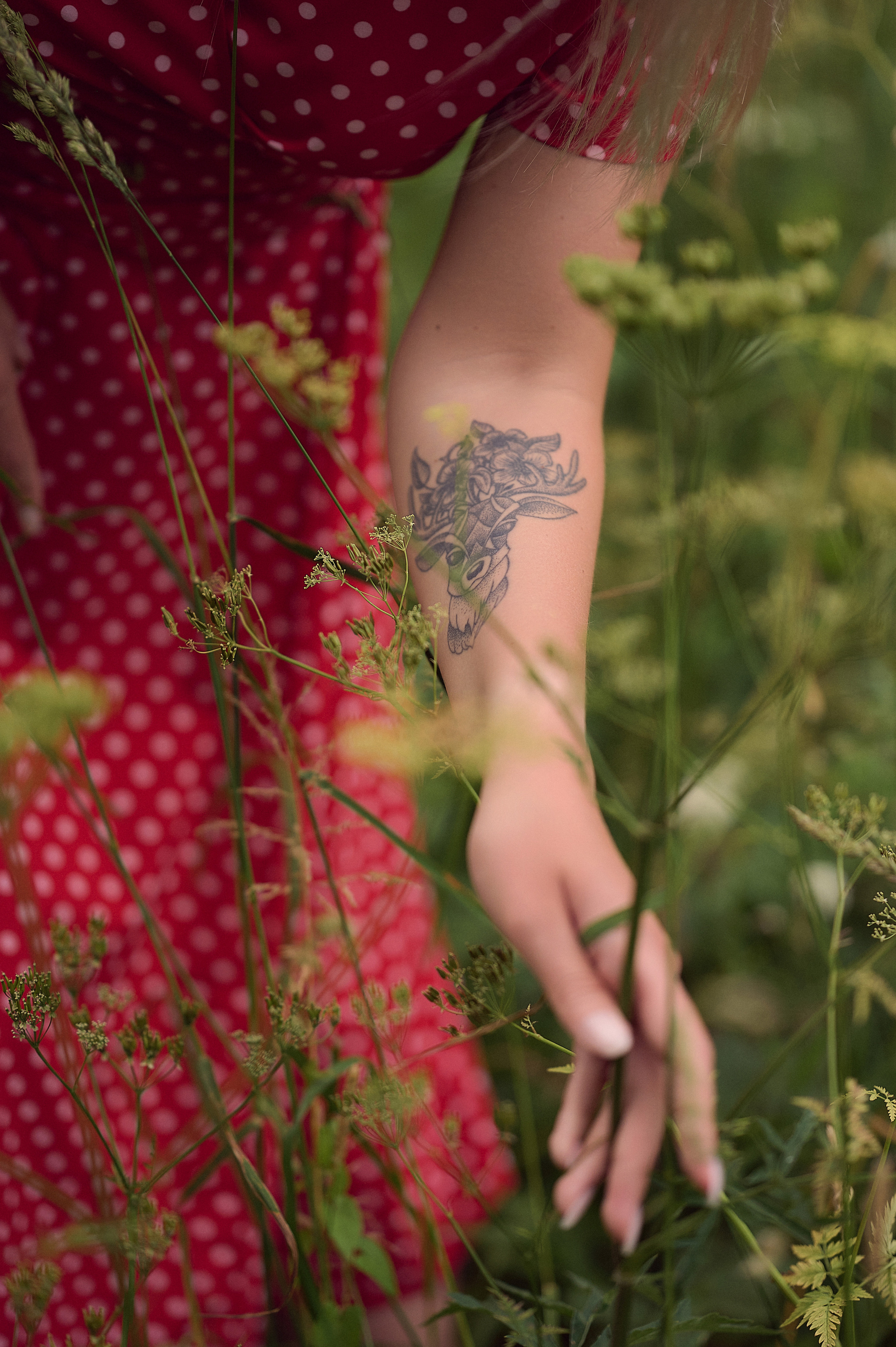 Татьяна. Лето. В поле…. Фотограф Тихонова Ольга Санкт-Петербург