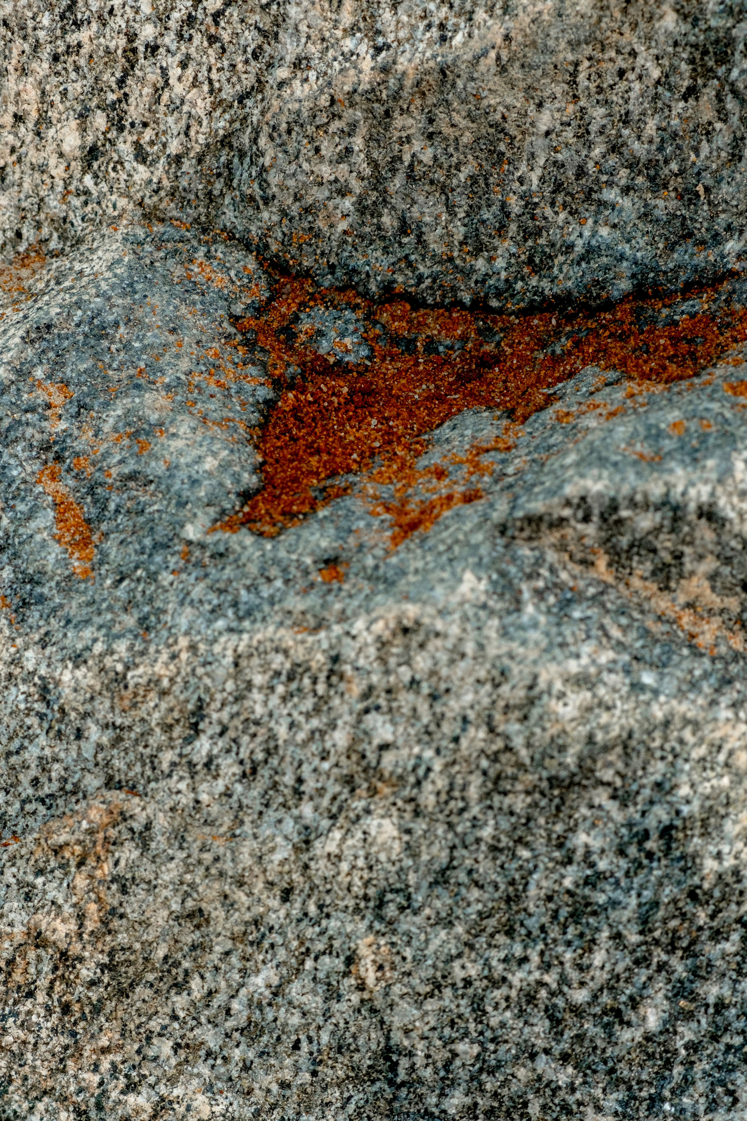 Имиджевая и рекламная съёмка для брендов в СПб. Фотосессия для маркетплейсов