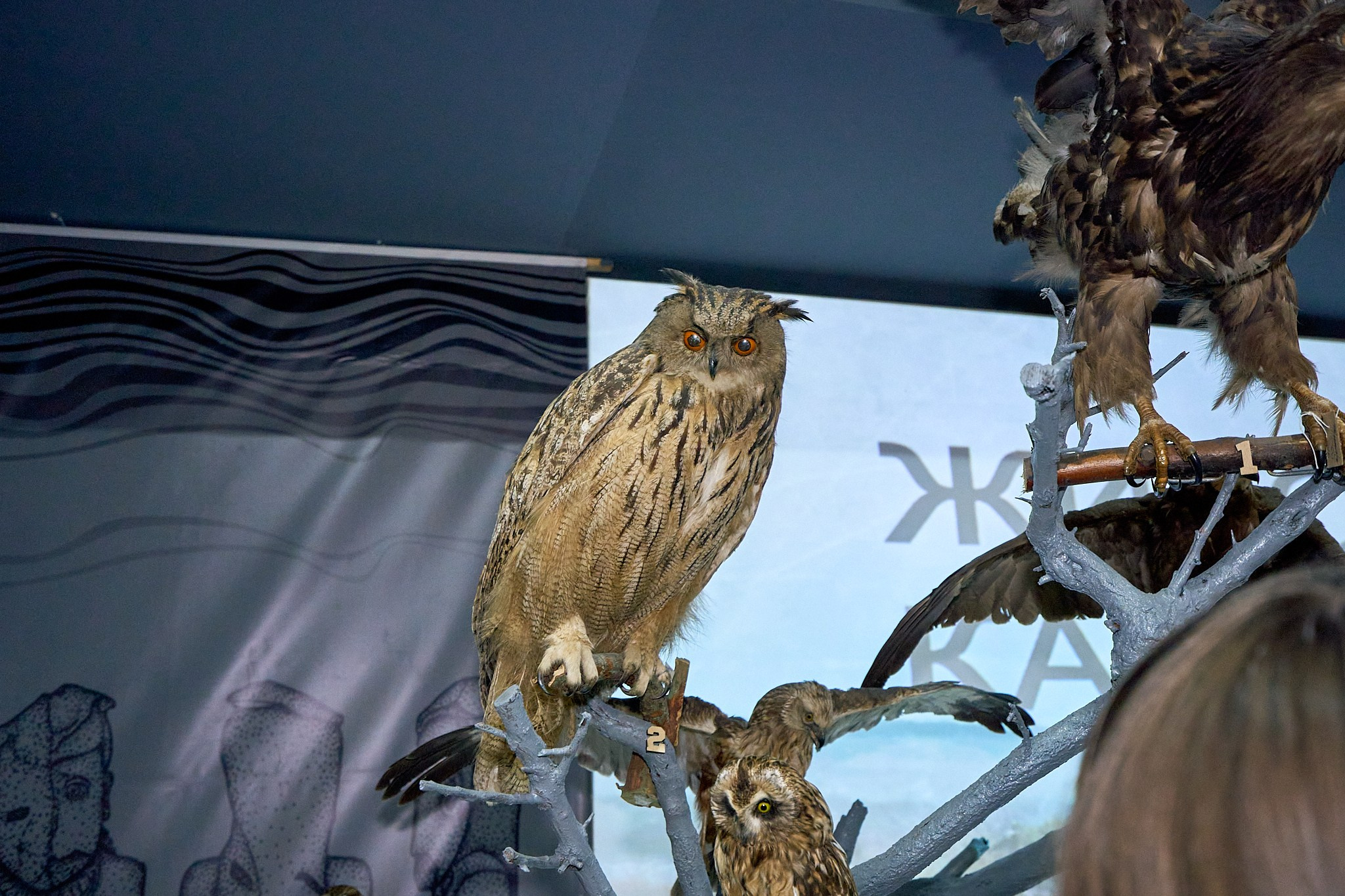 Элиста 08.2024. Петр Ступень. Свадебное, семейное фото и видео. Москва. Краснодар