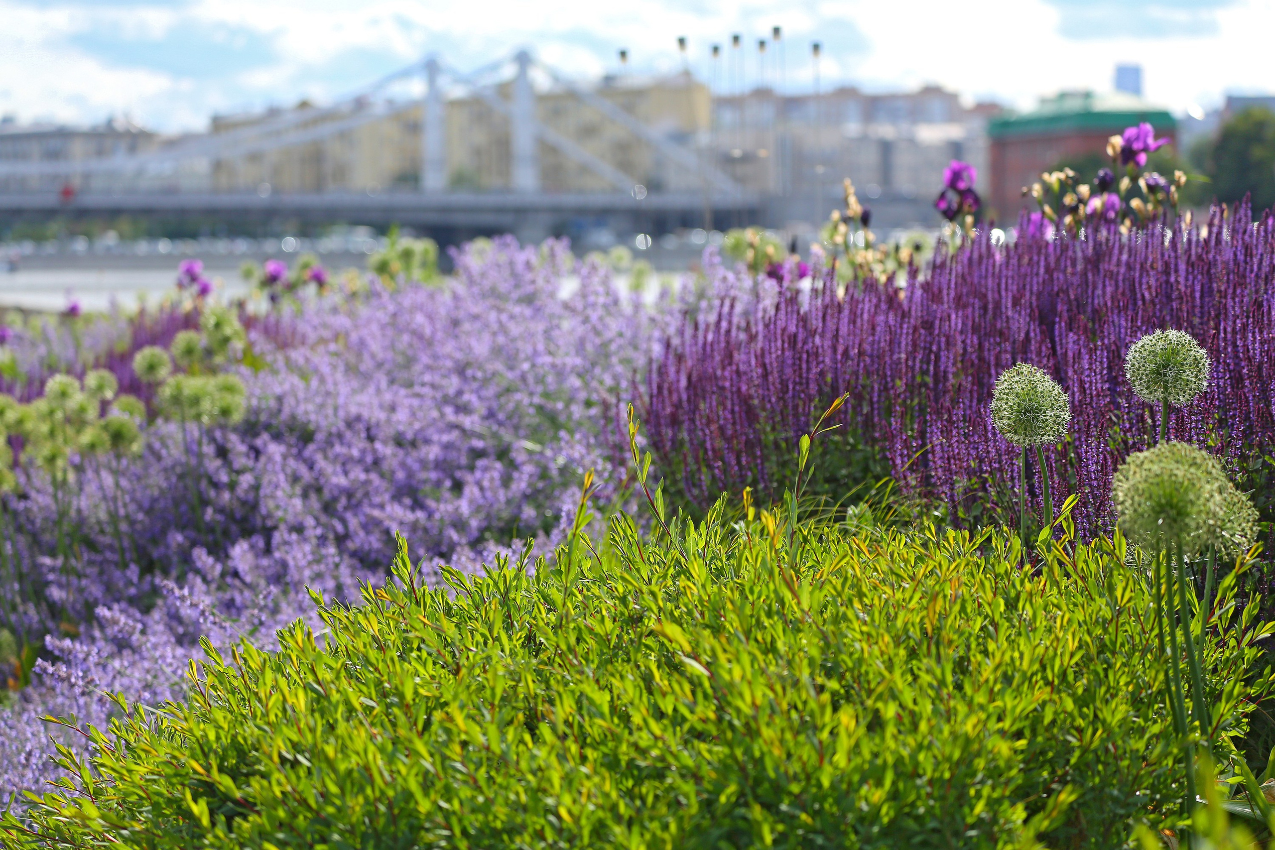 Ландшафтный фотограф Андрей Лысиков, Москва