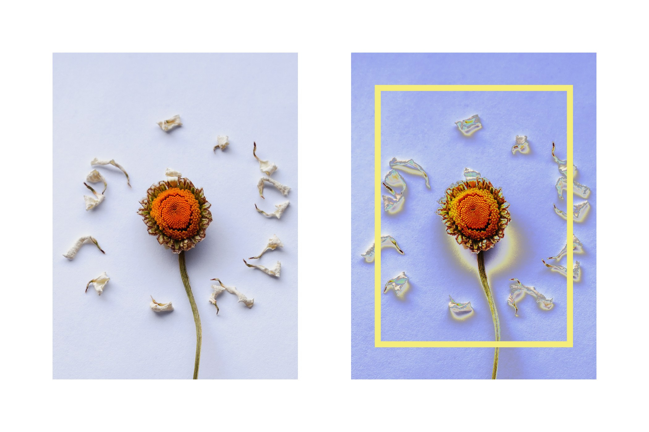 Окромашка / 2020. Туман Зла