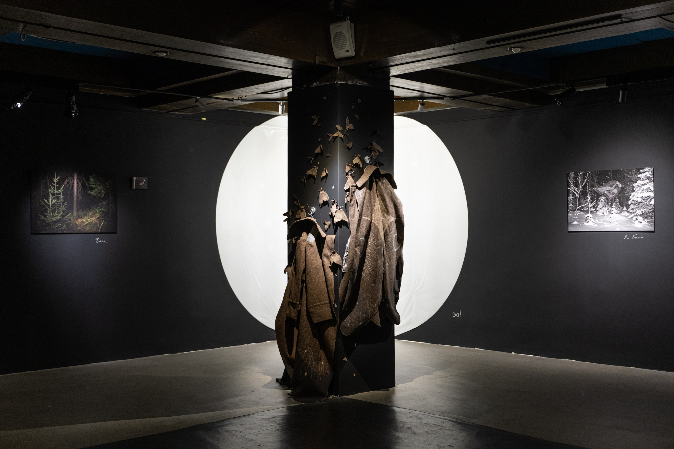 Пристанище. Элина Гусарова