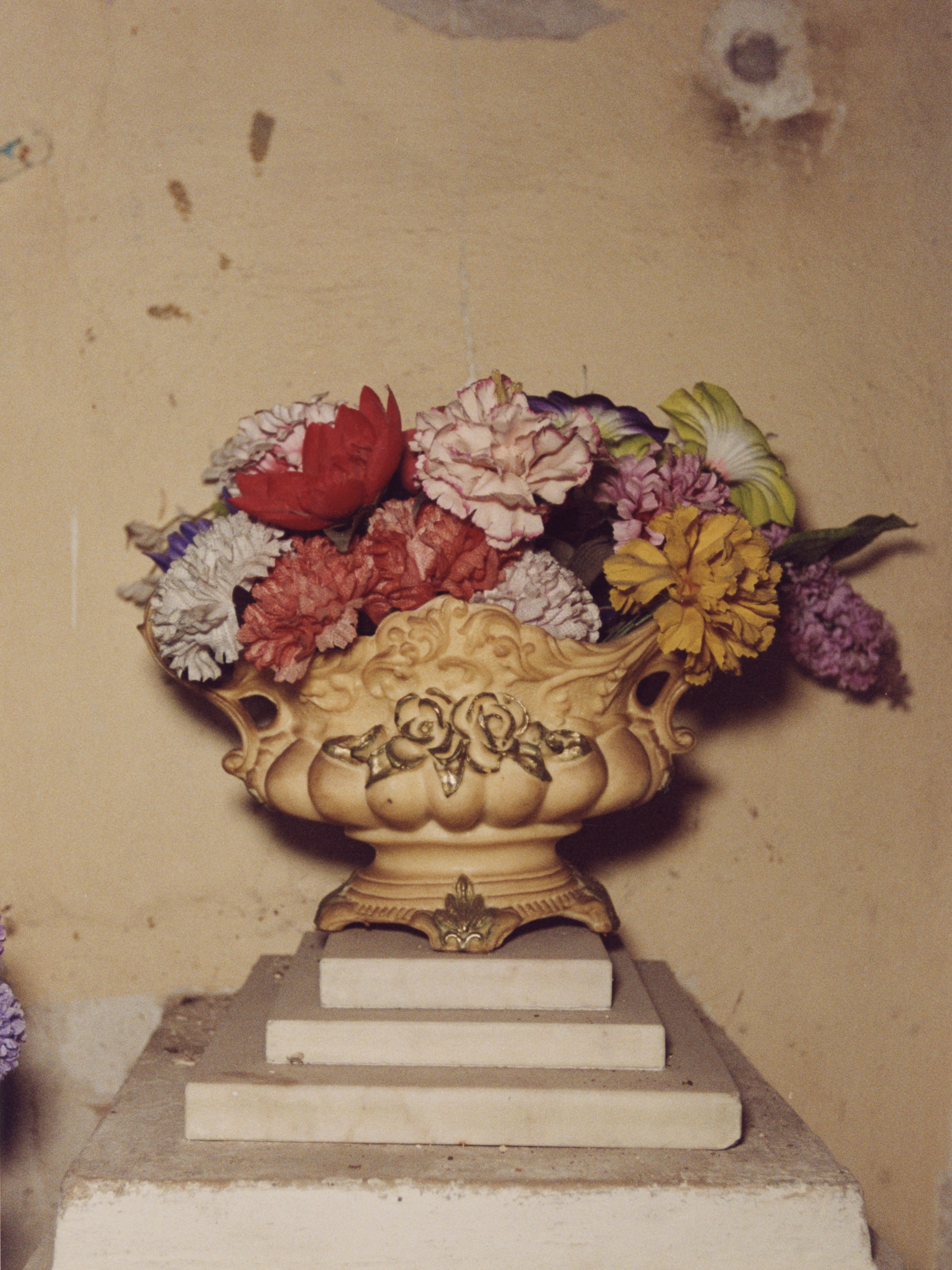 STILL LIFE. Photographer Olya Pegova