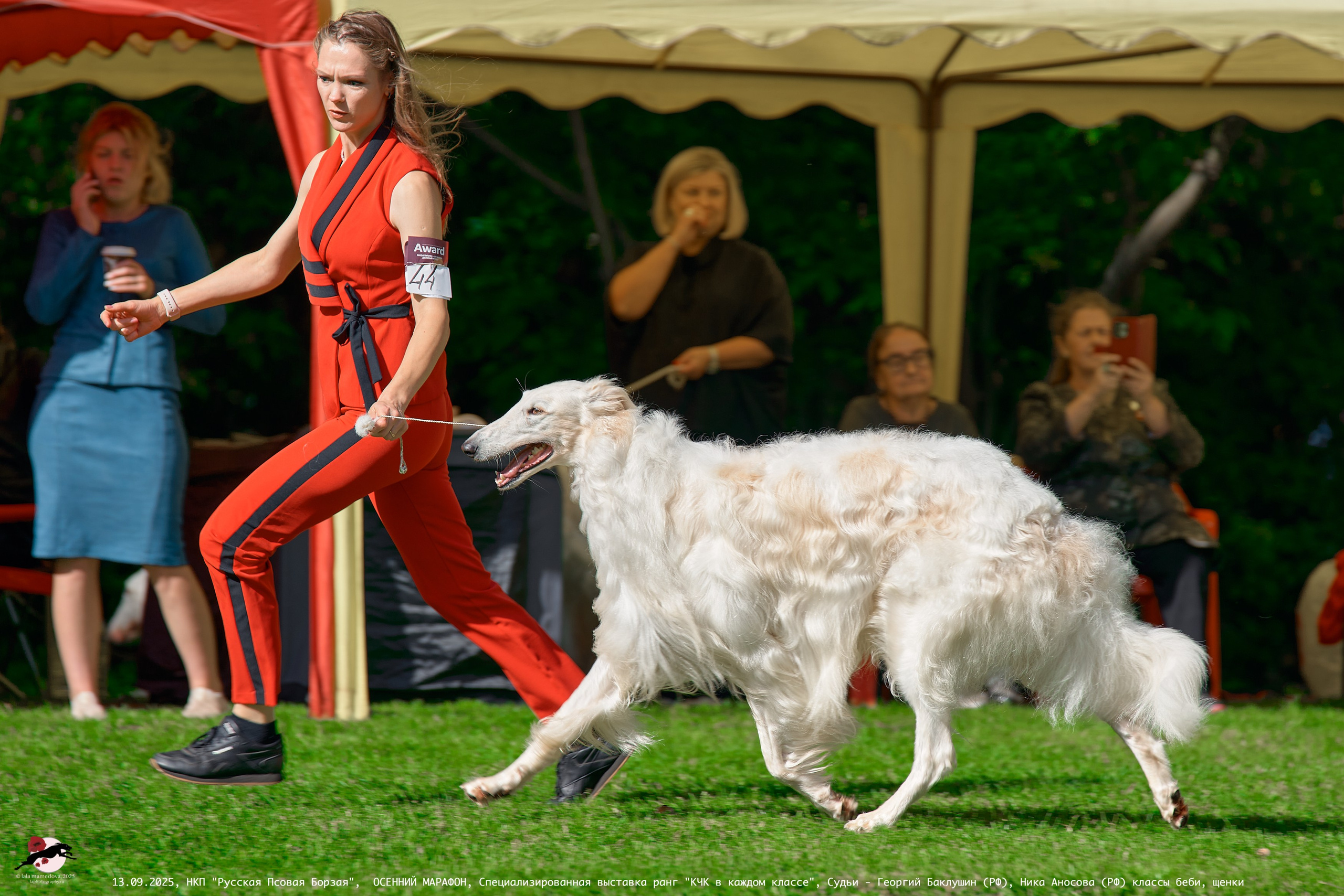 ОСЕННИЙ МАРАФОН | Специализированная выставка породы Русская Псовая Борзая ранг "КЧК в каждом классе"