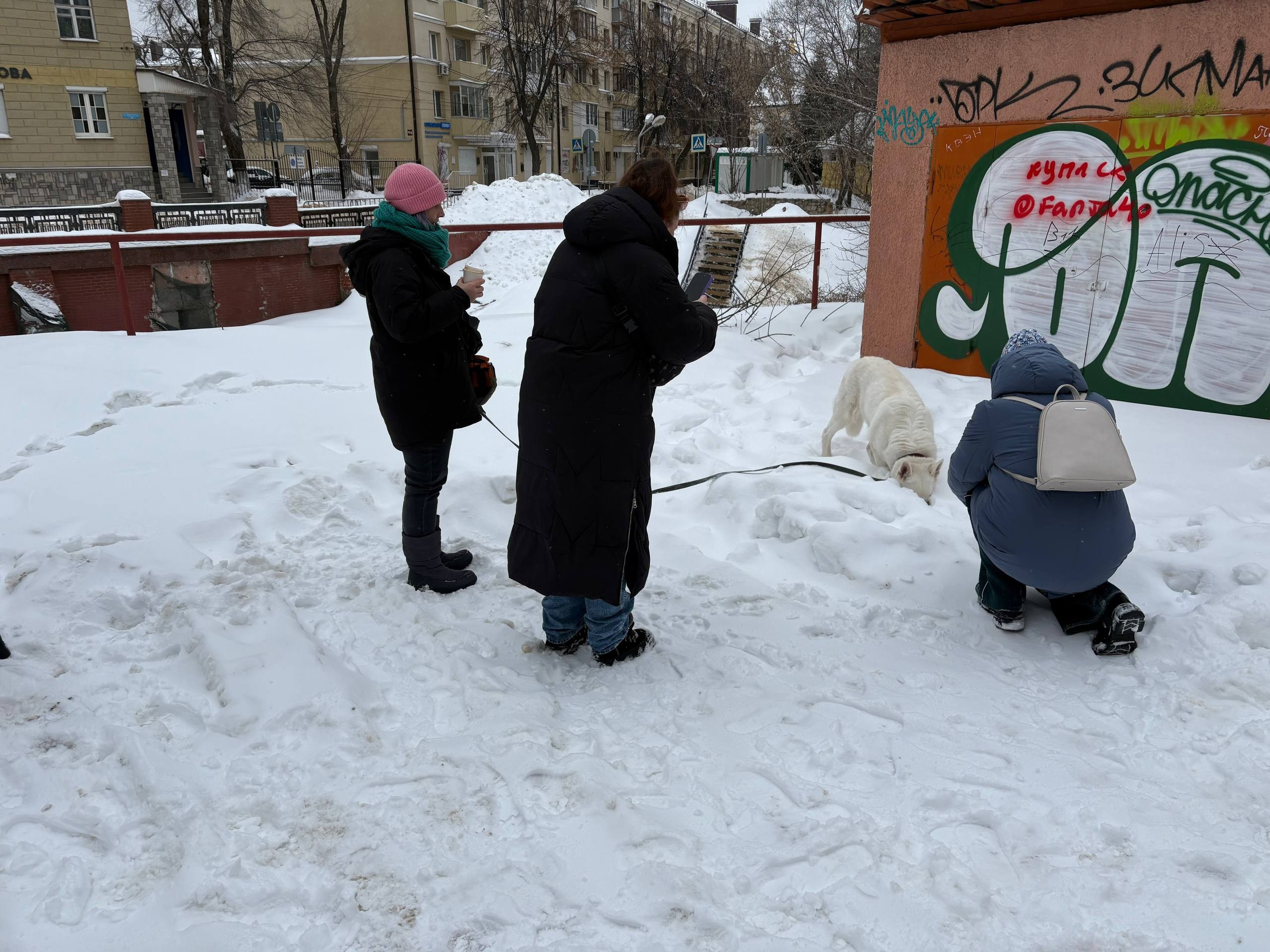 Улица Маркса. «ФотоСинтез»
