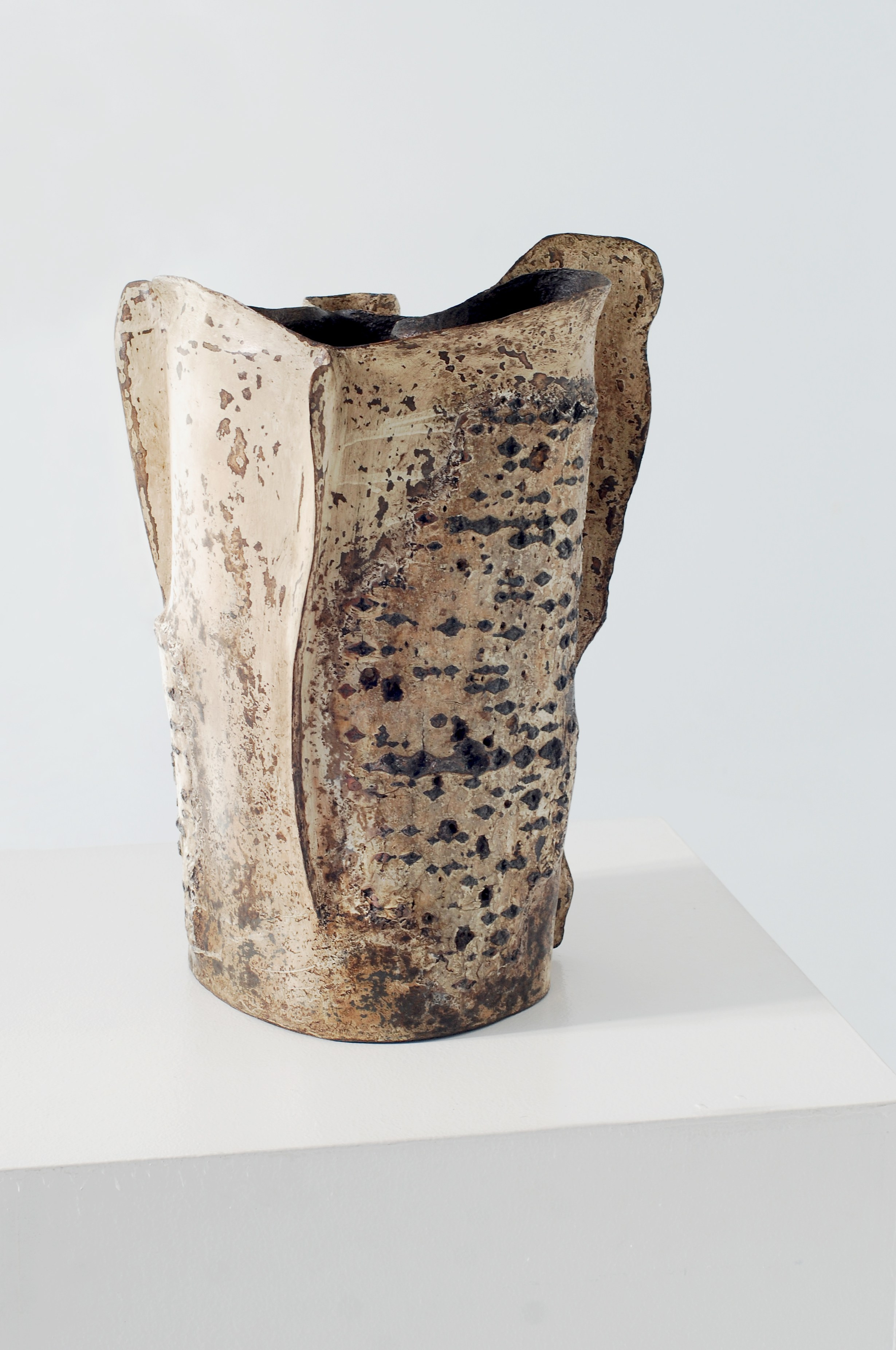 Эволюция духа 2. ЕЛЕНА МЕШКОВА мультидисциплинарный художник