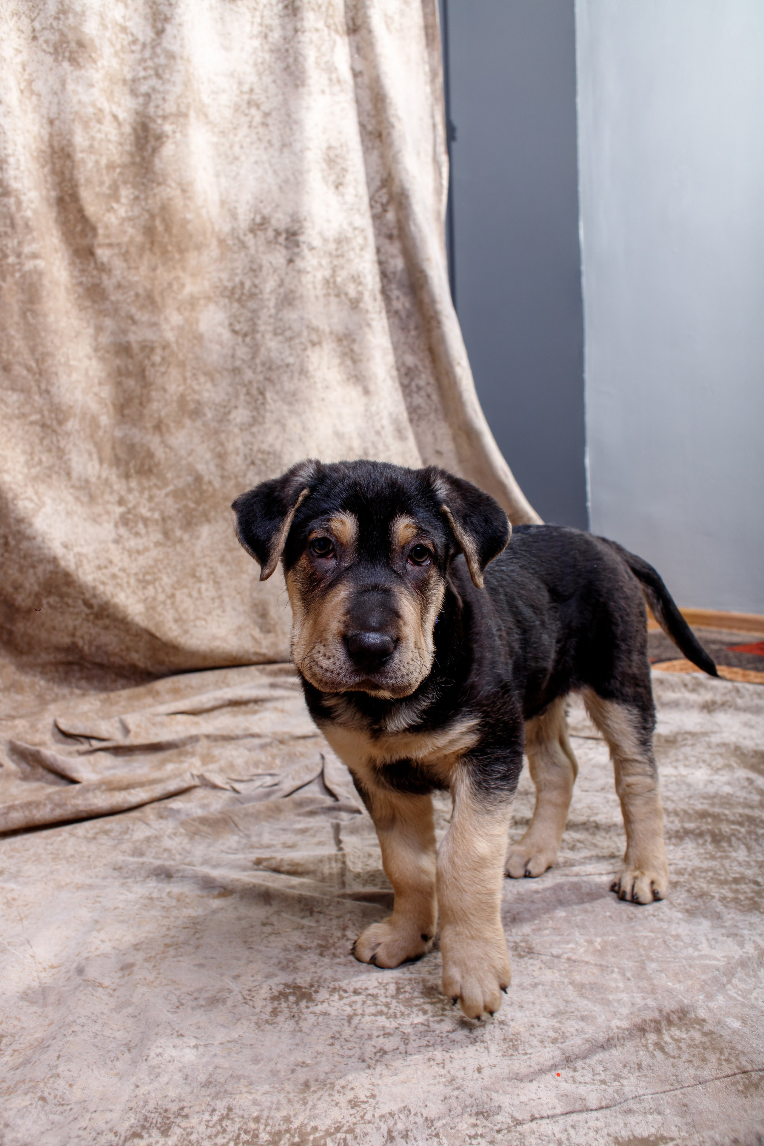 Благотворительный фотомарафон. ПРОПАГАНДА молодёжный продюсерский центр