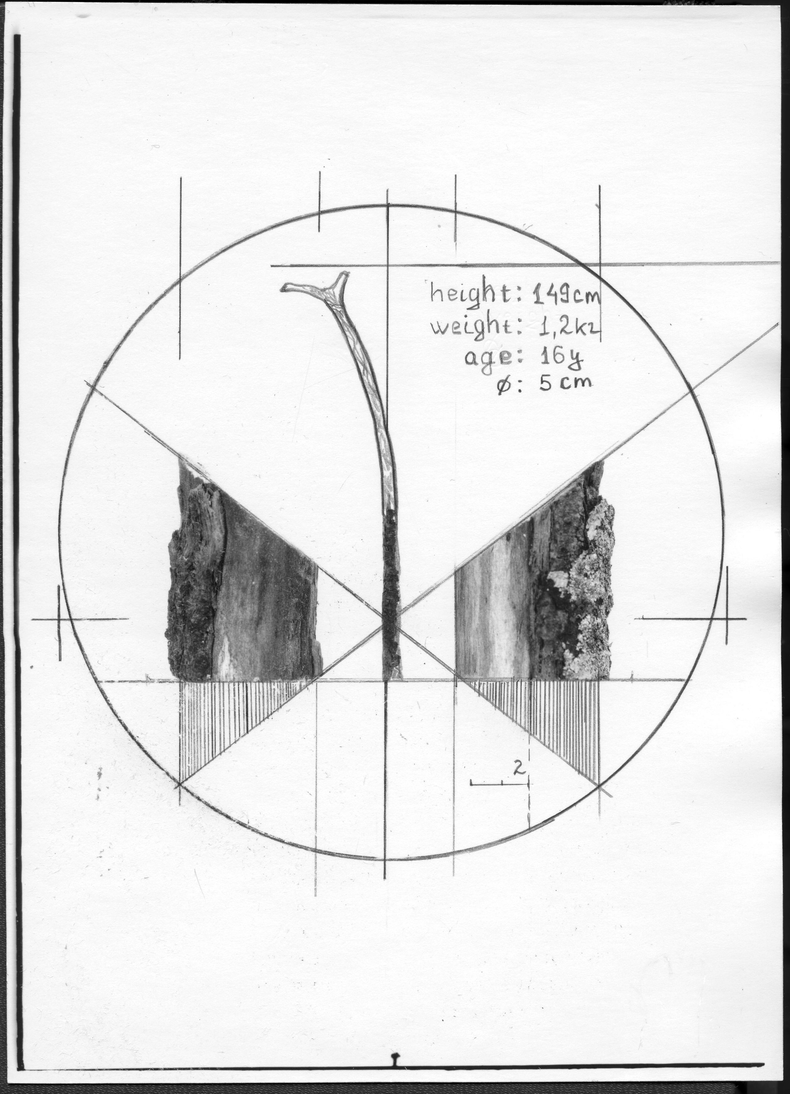 Выставка ''Черный ящик'' с 16 марта по 16 апреля 2021 года