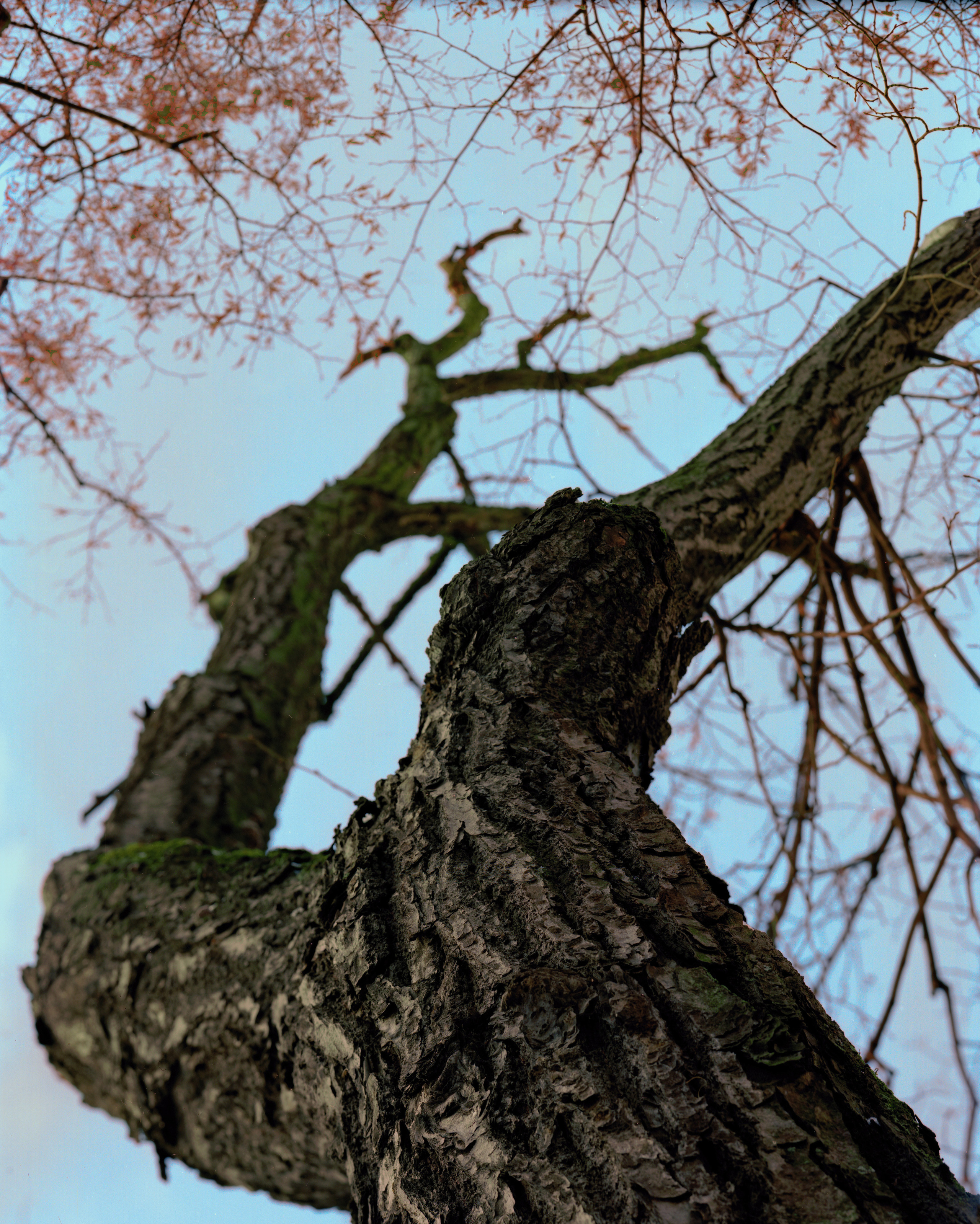 Выставка ''Черный ящик'' с 16 марта по 16 апреля 2021 года