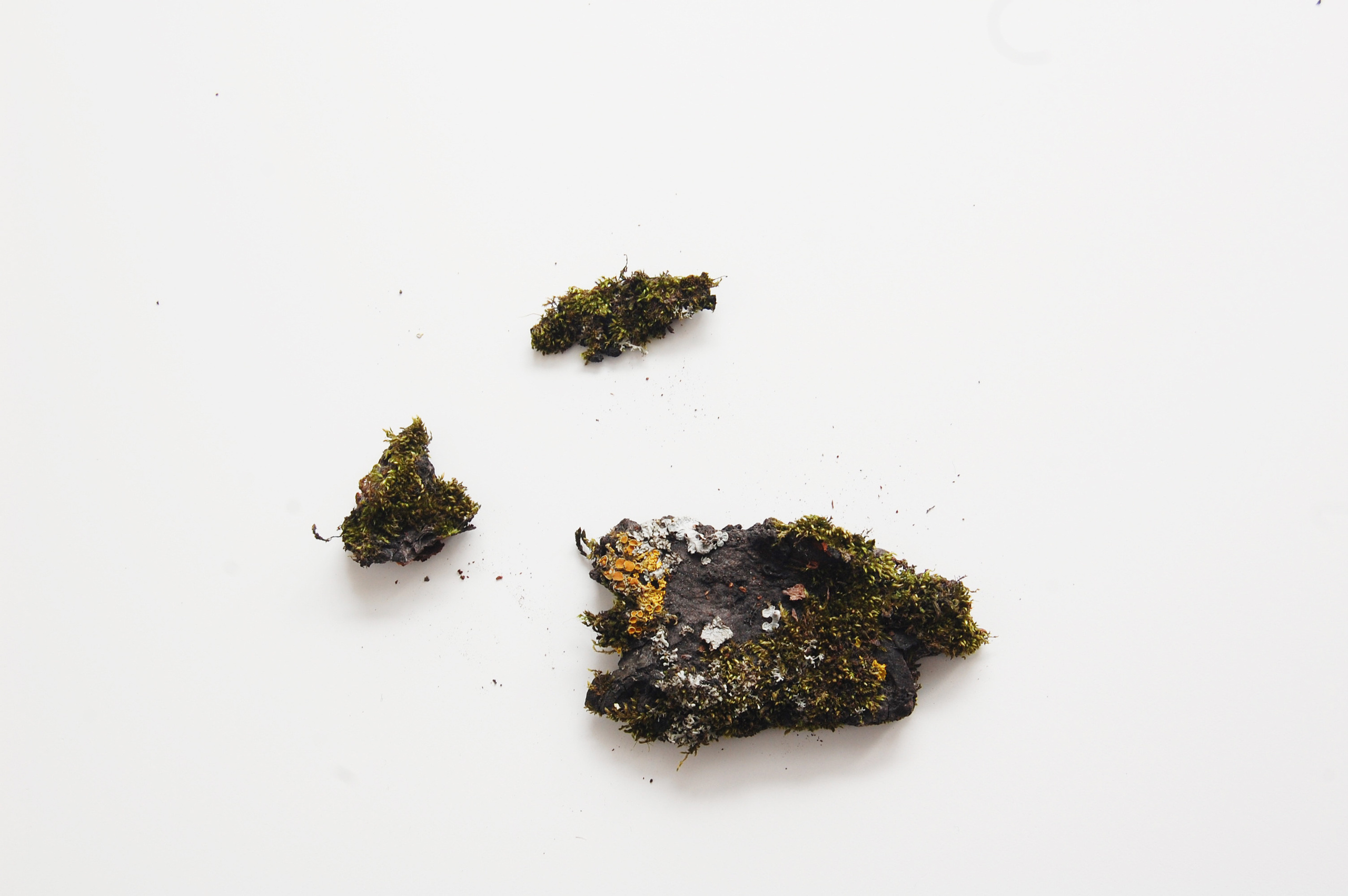 Выставка ''Черный ящик'' с 16 марта по 16 апреля 2021 года