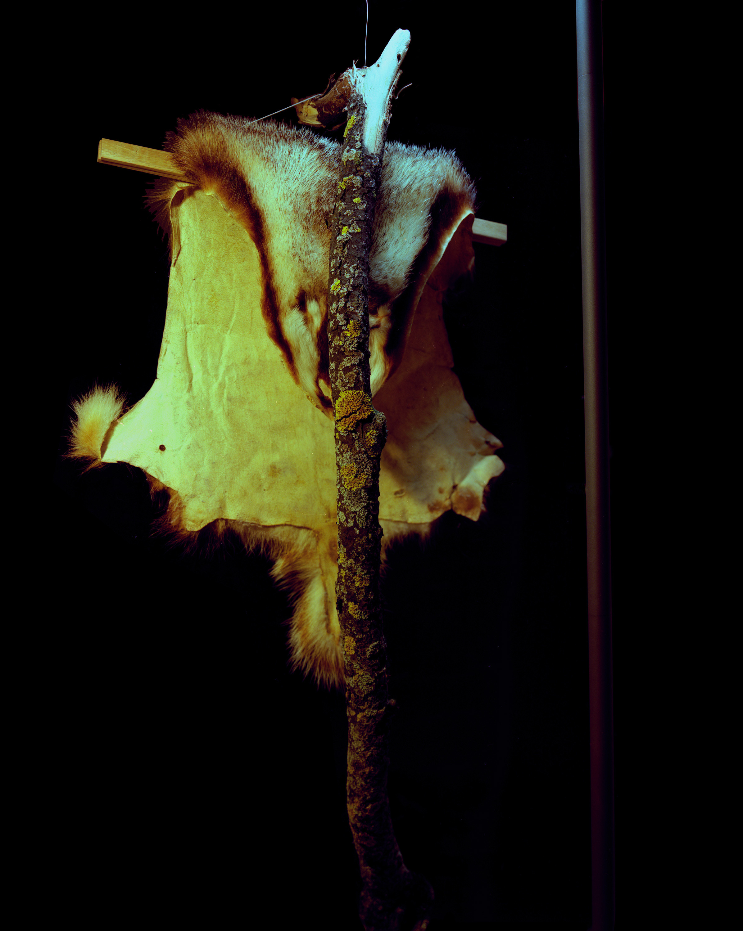 Выставка ''Черный ящик'' с 16 марта по 16 апреля 2021 года