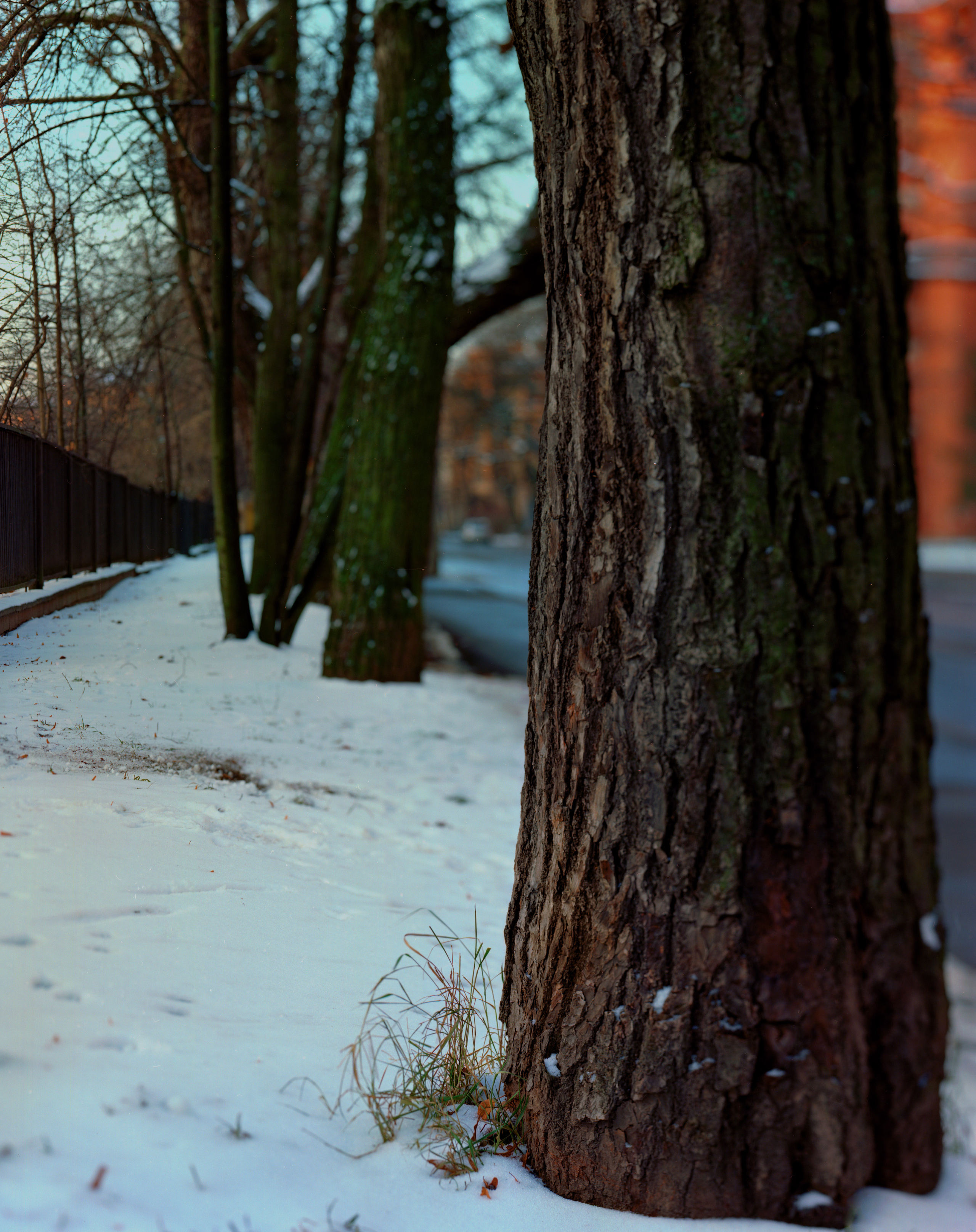 Выставка ''Черный ящик'' с 16 марта по 16 апреля 2021 года