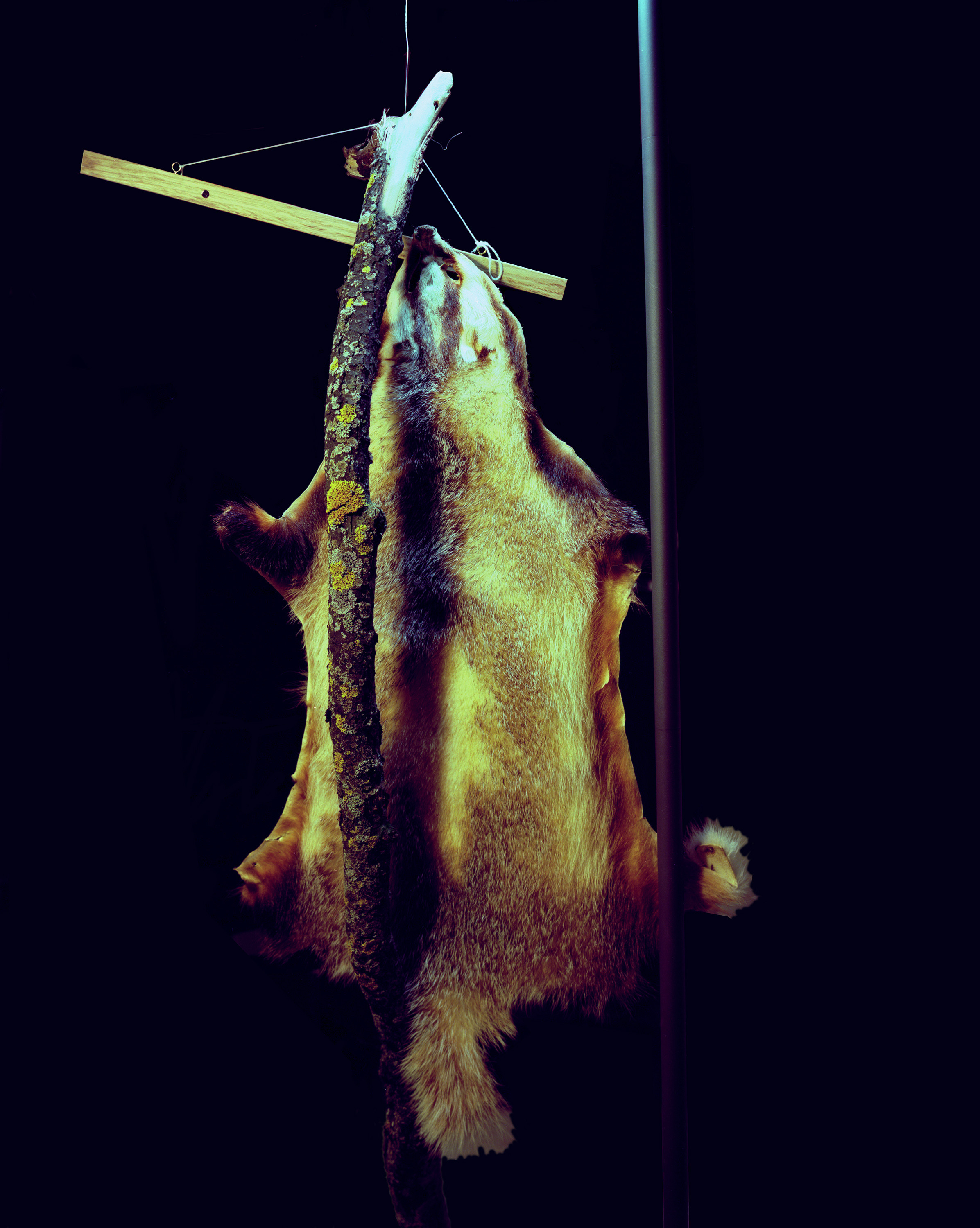 Выставка ''Черный ящик'' с 16 марта по 16 апреля 2021 года