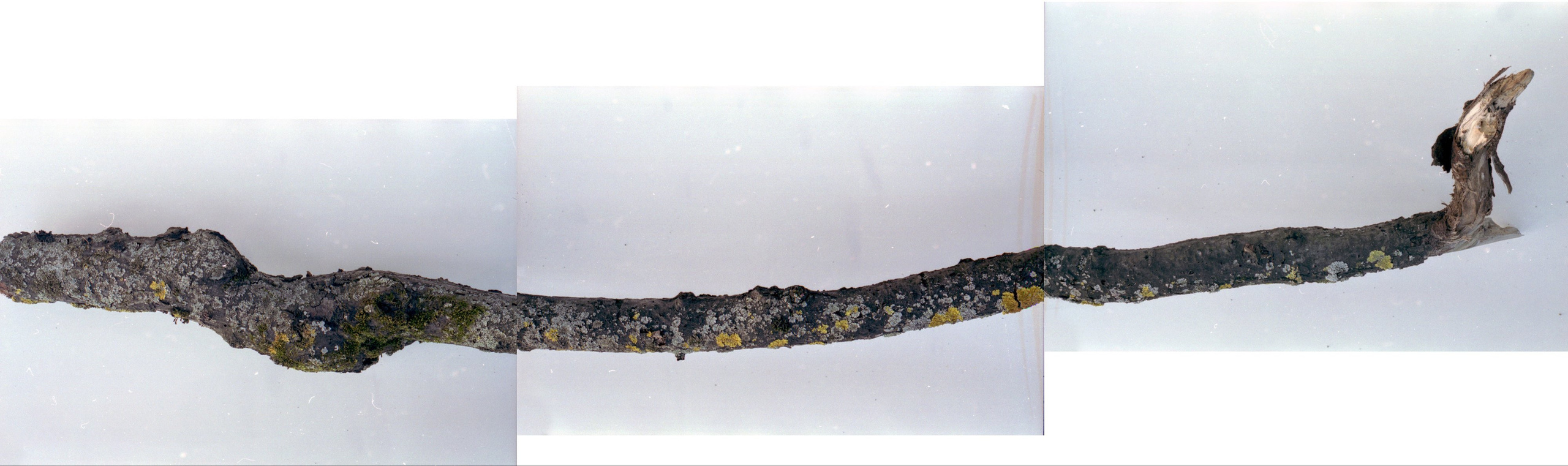 Выставка ''Черный ящик'' с 16 марта по 16 апреля 2021 года