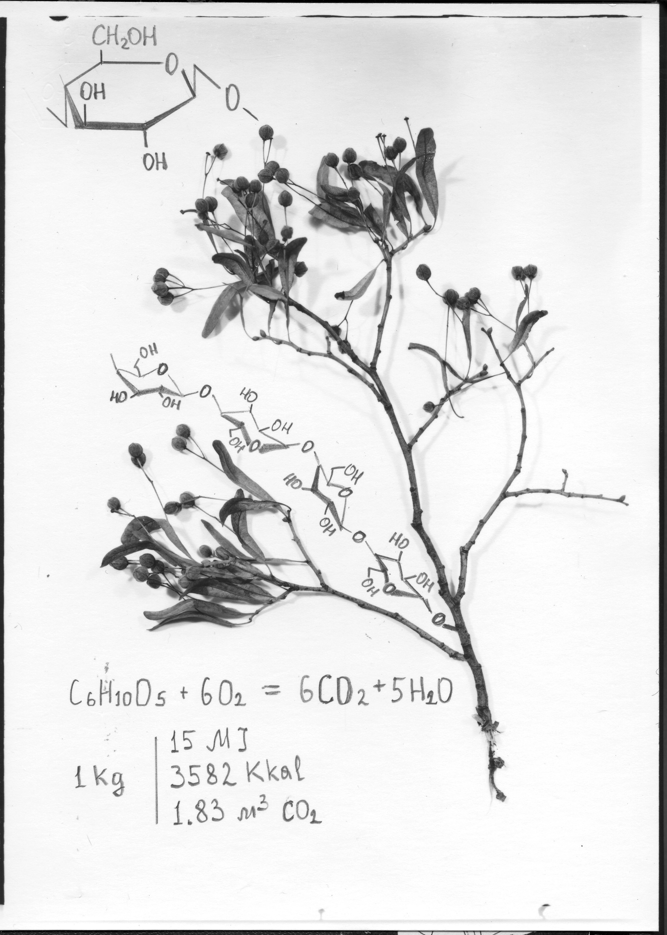 Выставка ''Черный ящик'' с 16 марта по 16 апреля 2021 года